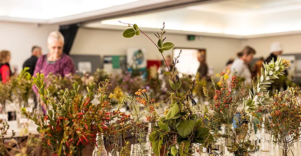 Esperance Wildlfower Show