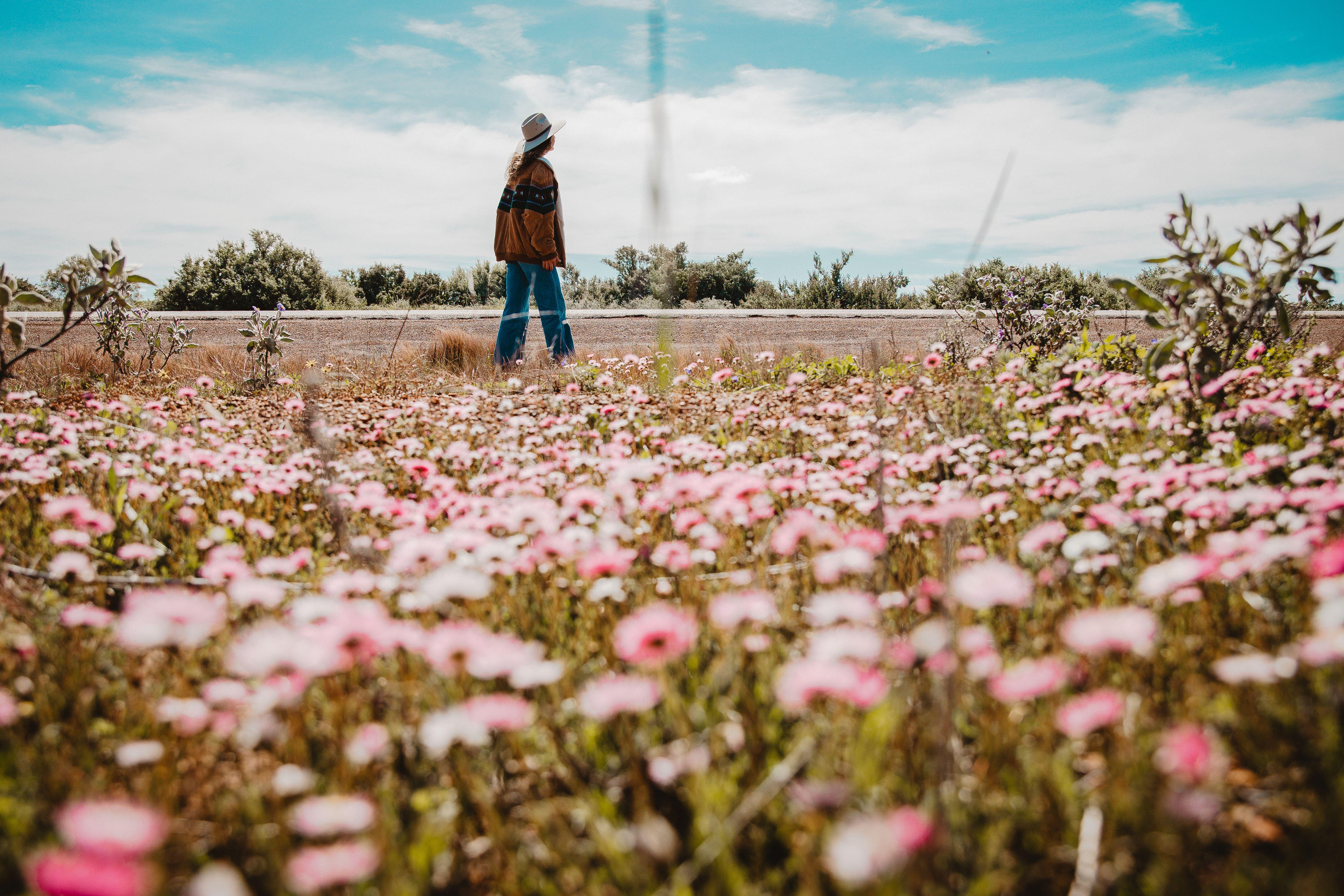 Everlastings photo credit Alexandra Casey2