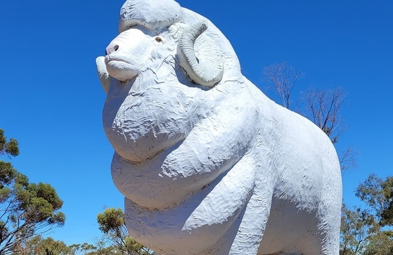 Forest Explorers Wagin