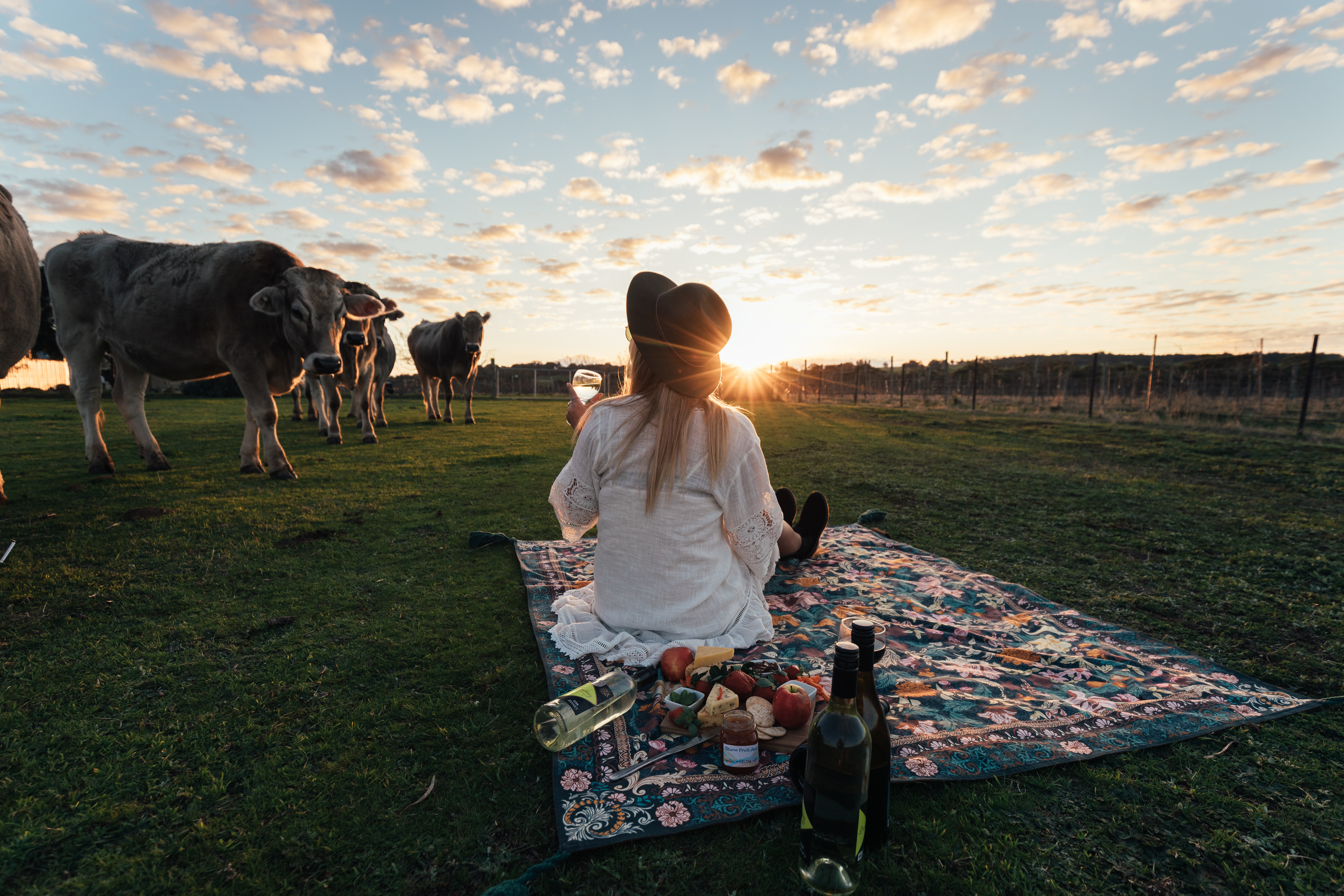 Melissa Findley HIGH RES Wheatbelt WA 15 Downderry Winery near Narrogin
