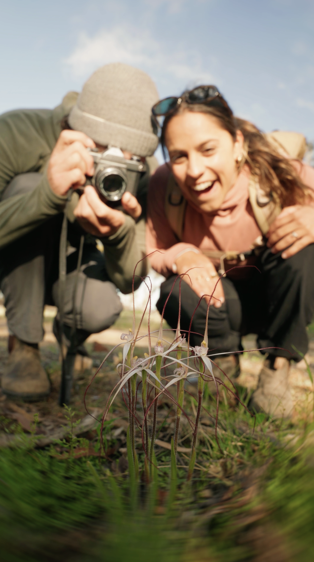 Moora Spider Orchid Candys Bush reserve