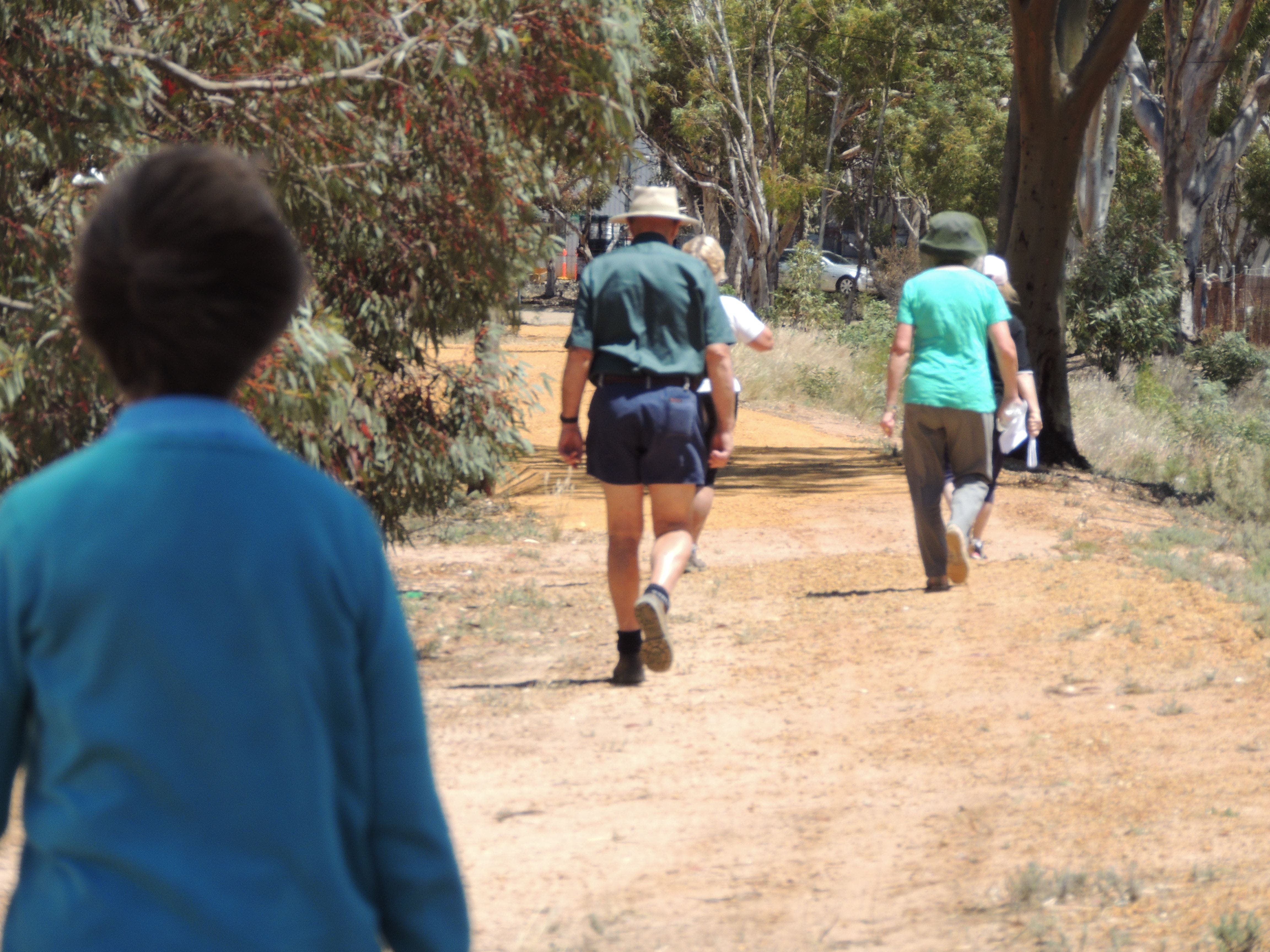 Original__9717573_Bf54_Dscn0348_V3Dhw6L