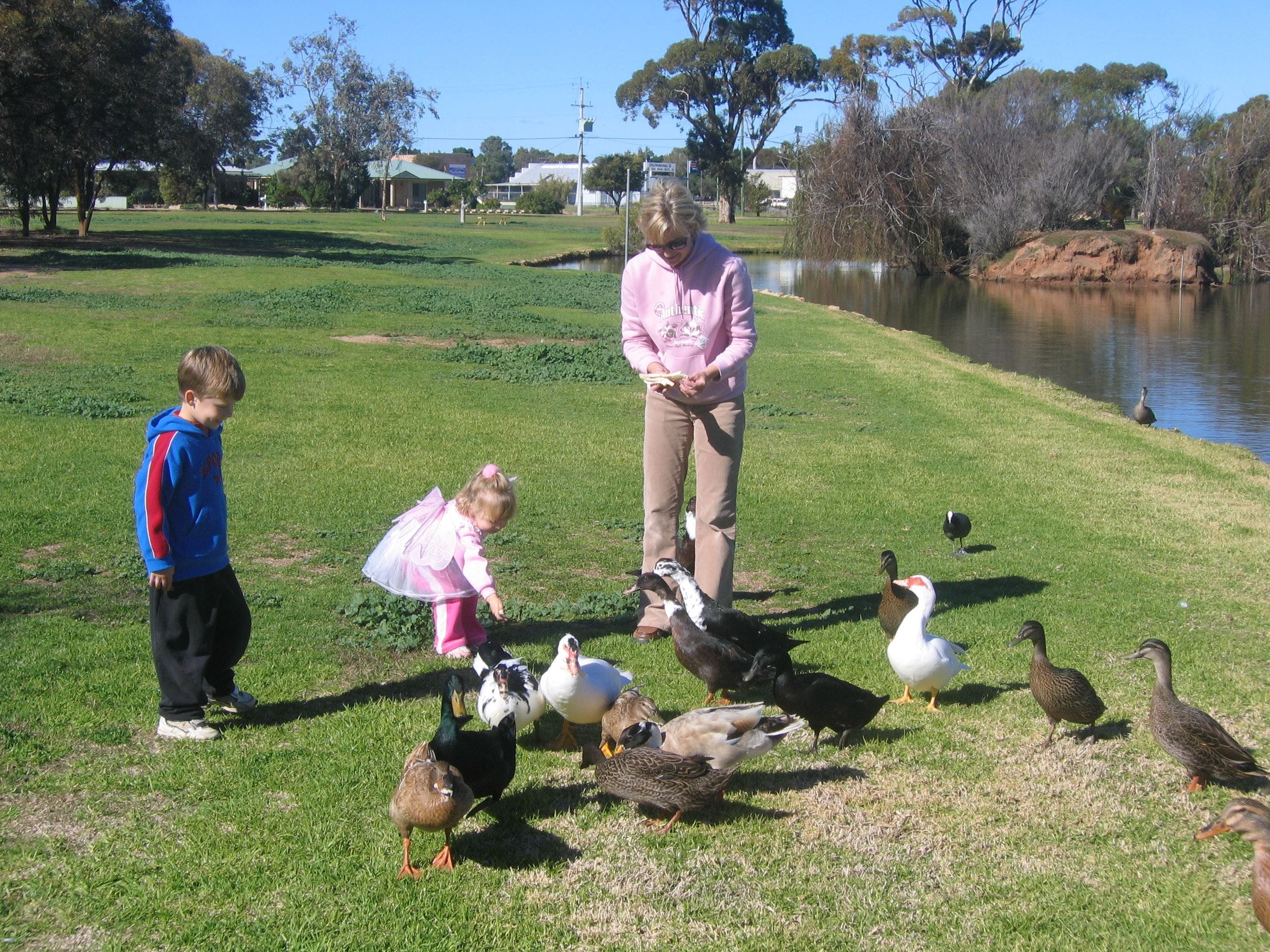 Original__9718610_Bf54_13_1Nno1Ad