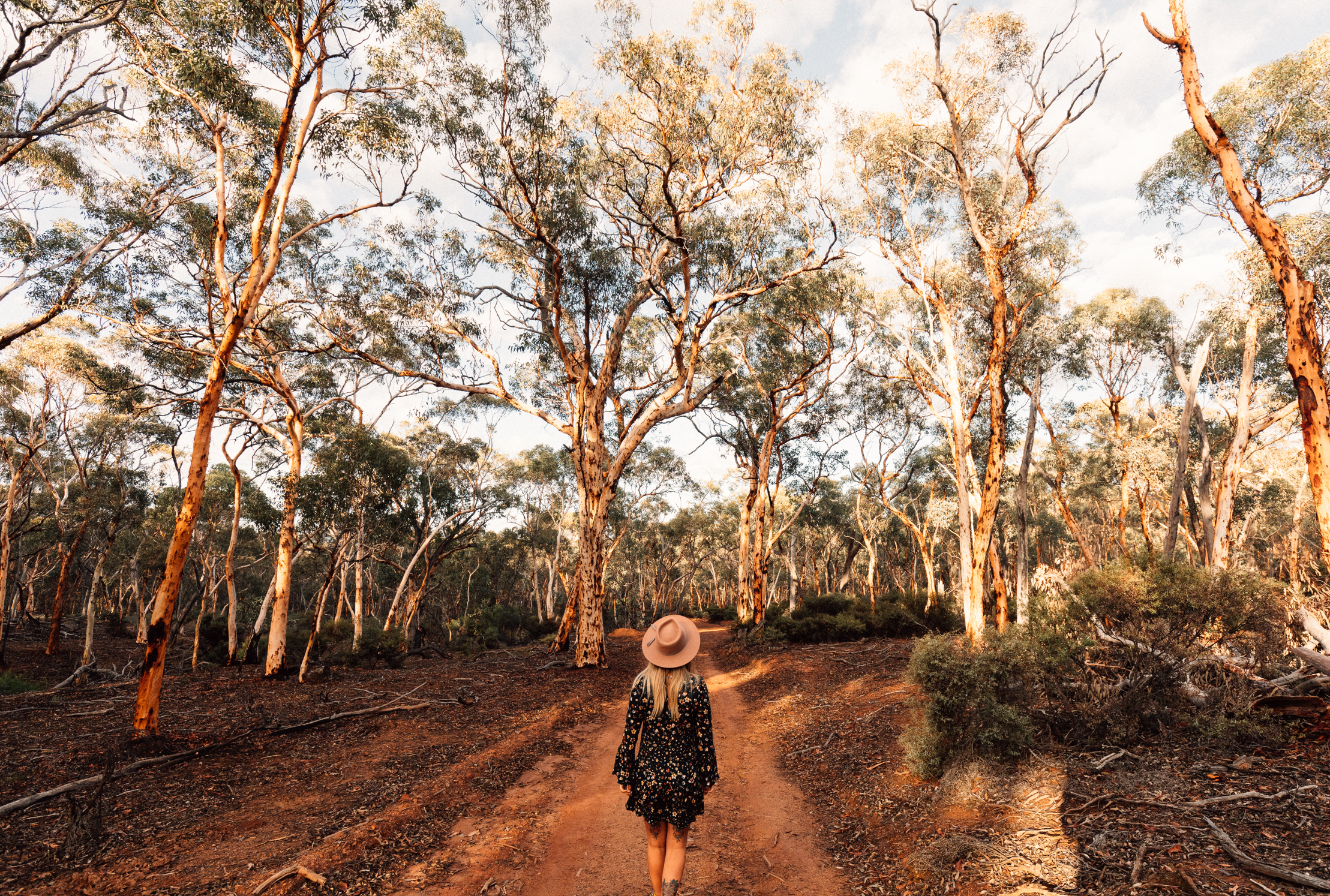 Screenshot 2025 08 20 150641