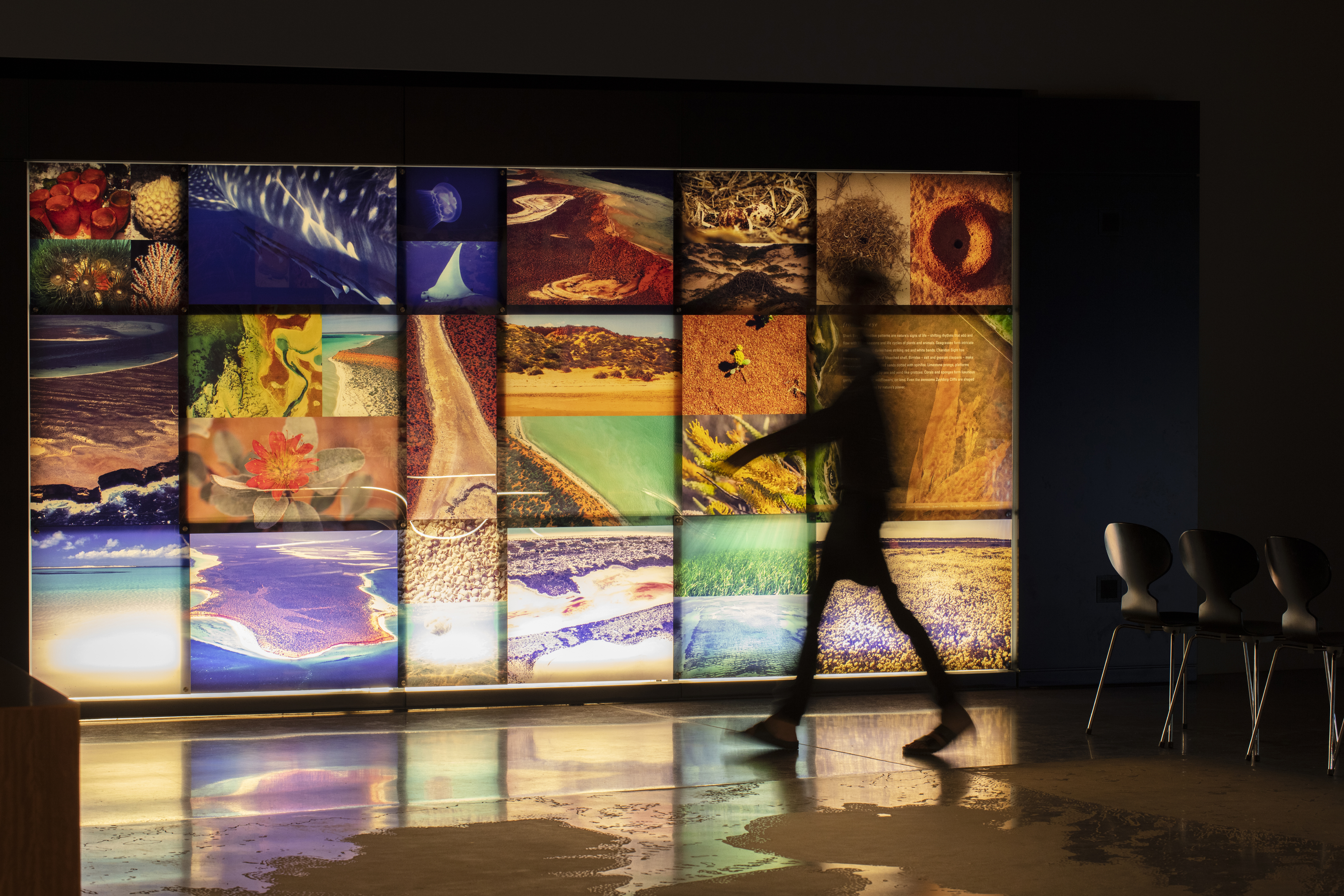 Shark Bay World Heritage Discovery and Visitor Center Denham