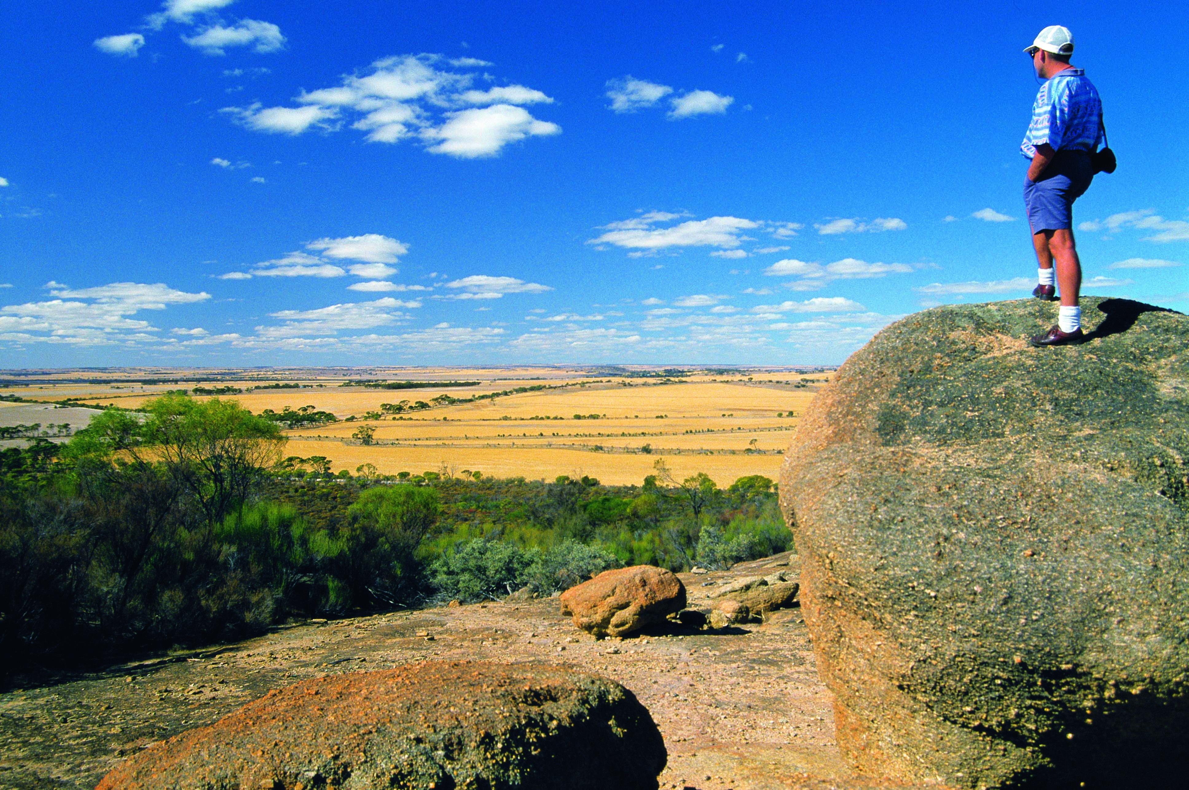 Wheatbelt vistas as far as the eye can see Kokerbin Rock