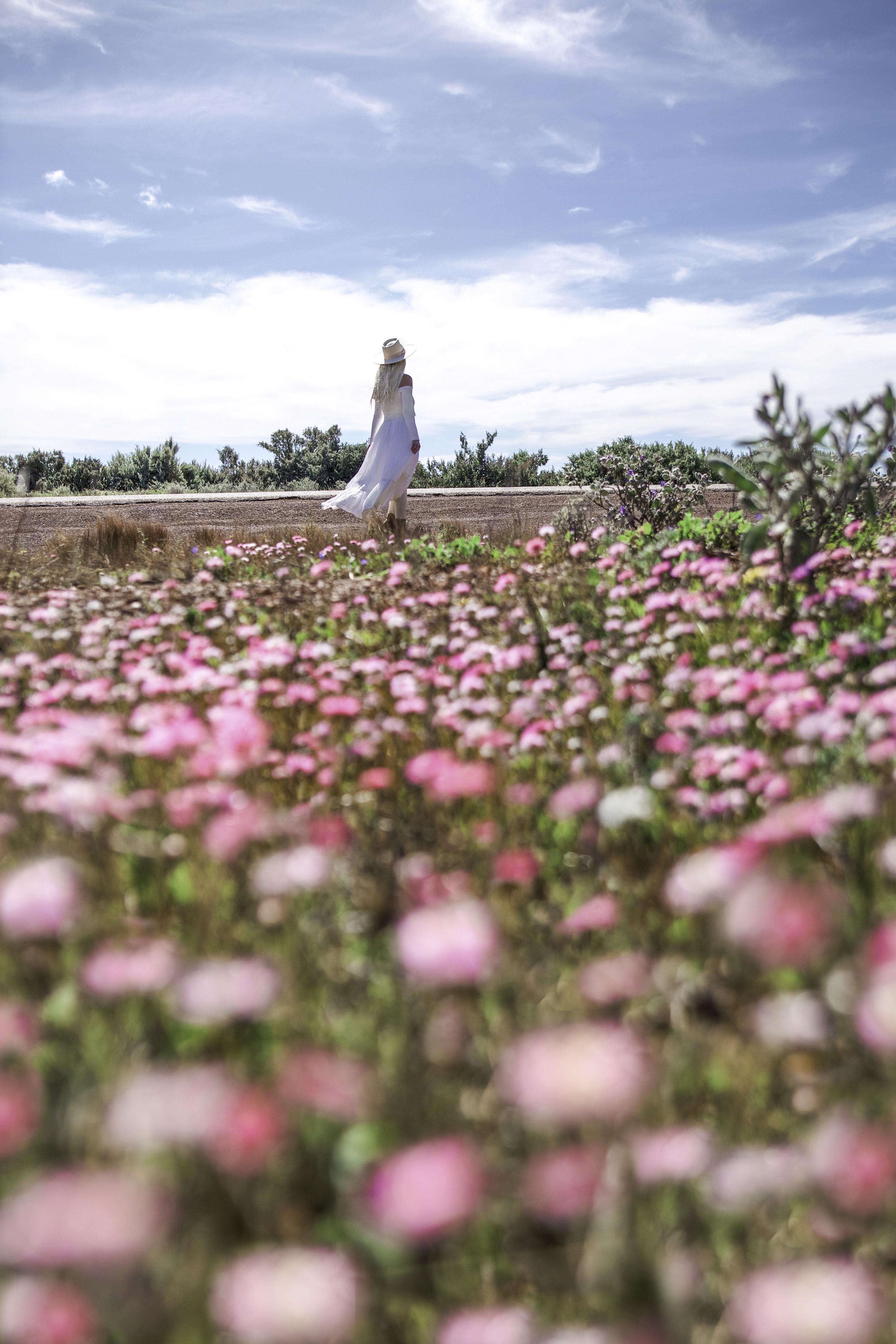 Widimia Trail Morawa credit gypsylovinlight 1