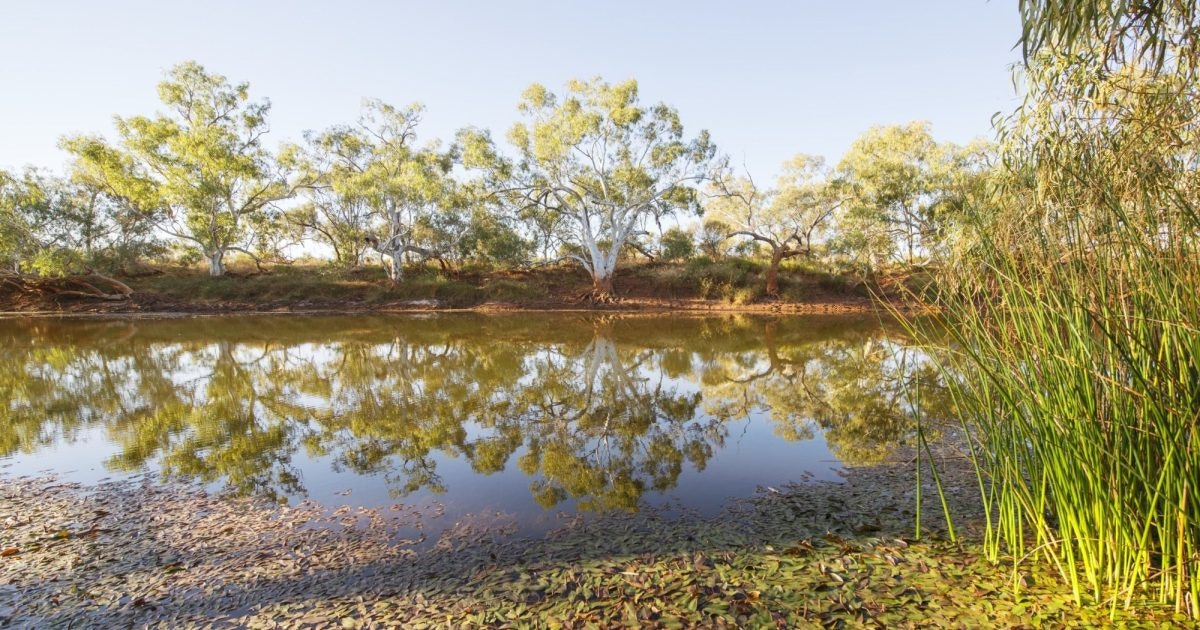 Goolinee - Cattle Pool | Australia's Golden Outback