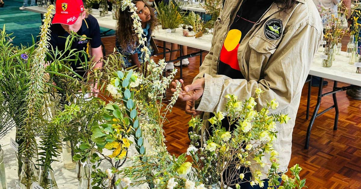 Djilba Wildflower Festival