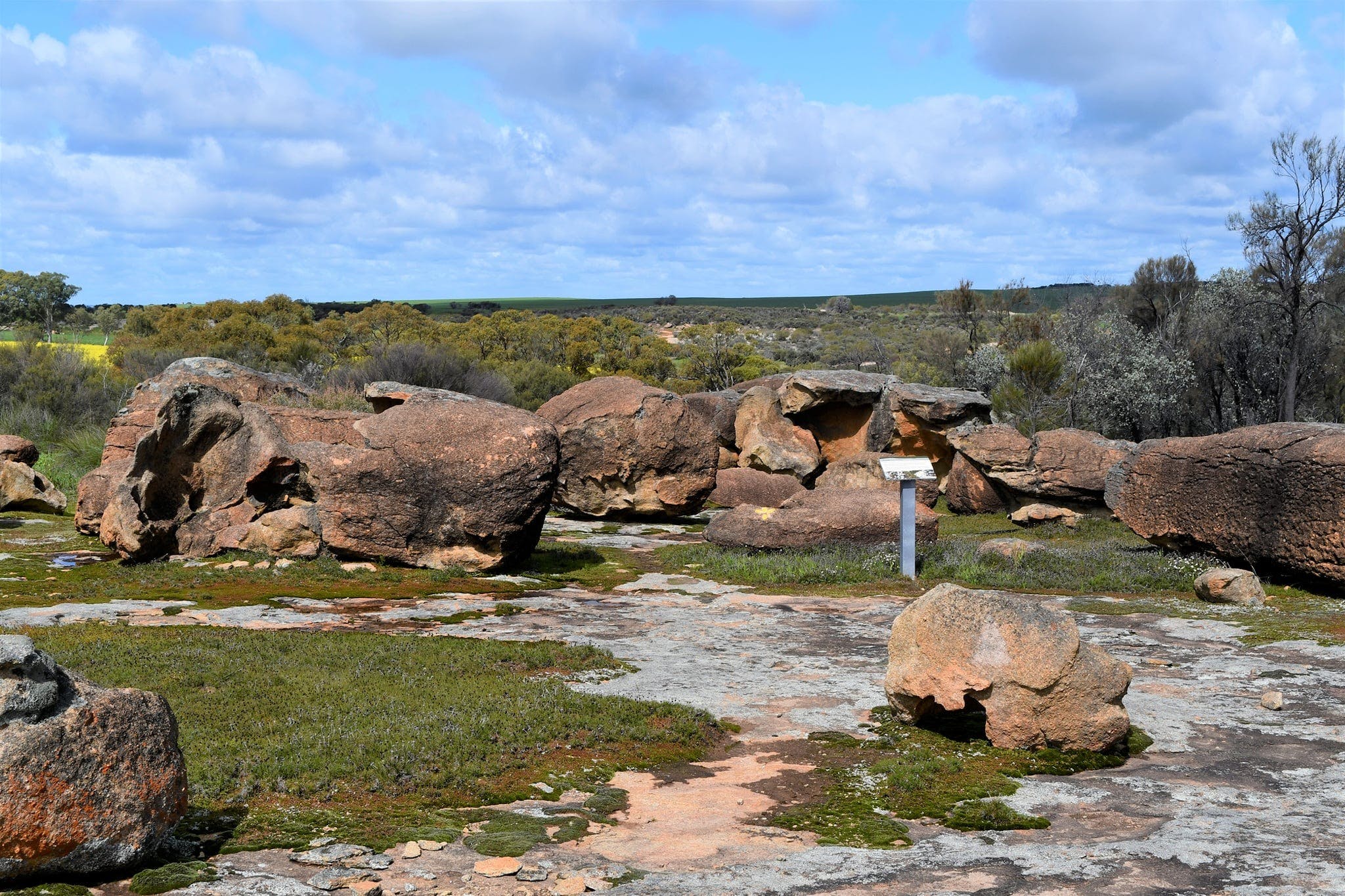 A07D8629306Ab16432A6Dc5Bc4E47C66