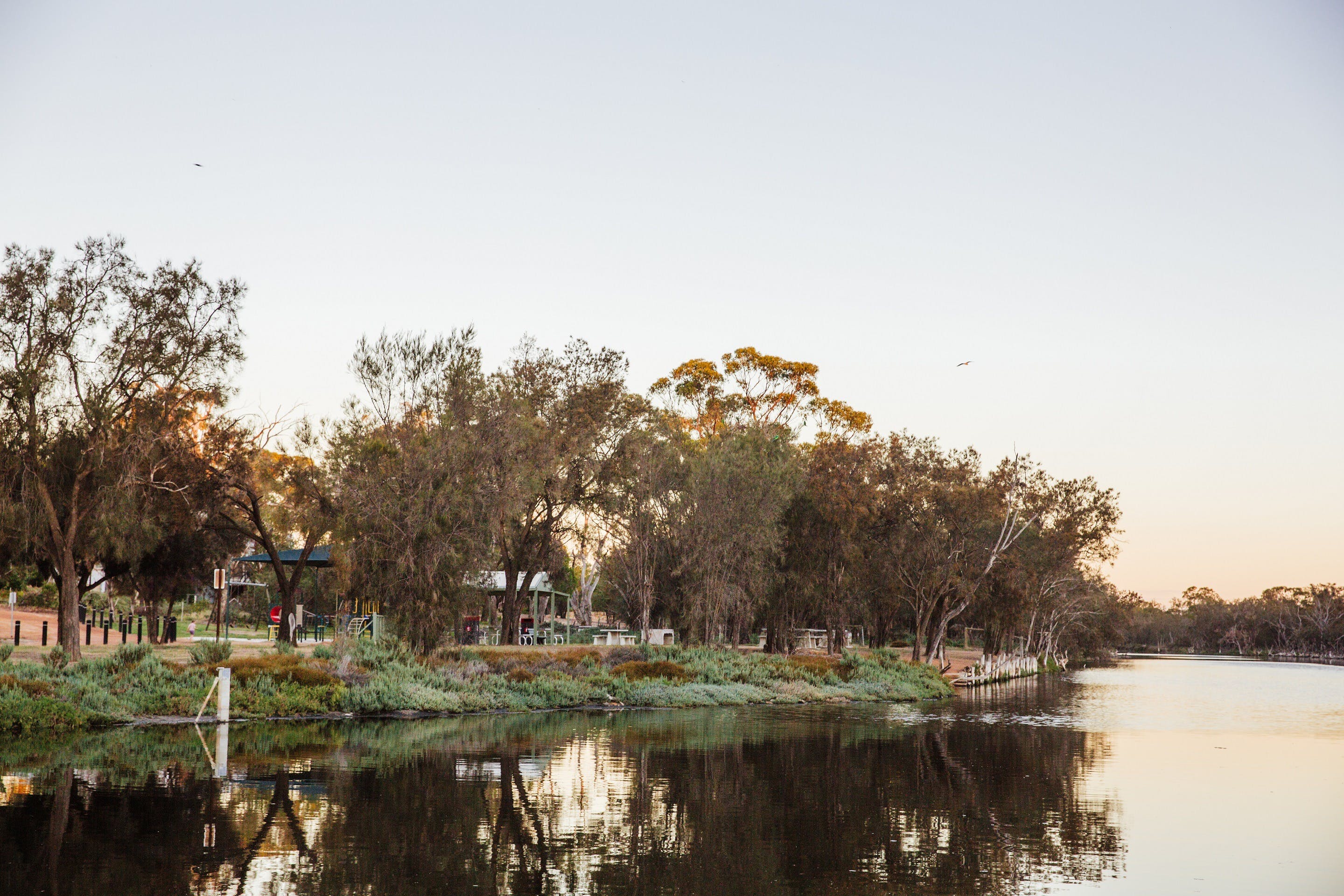 A42C675E6C54F2E0070Efe4Efeaedabc