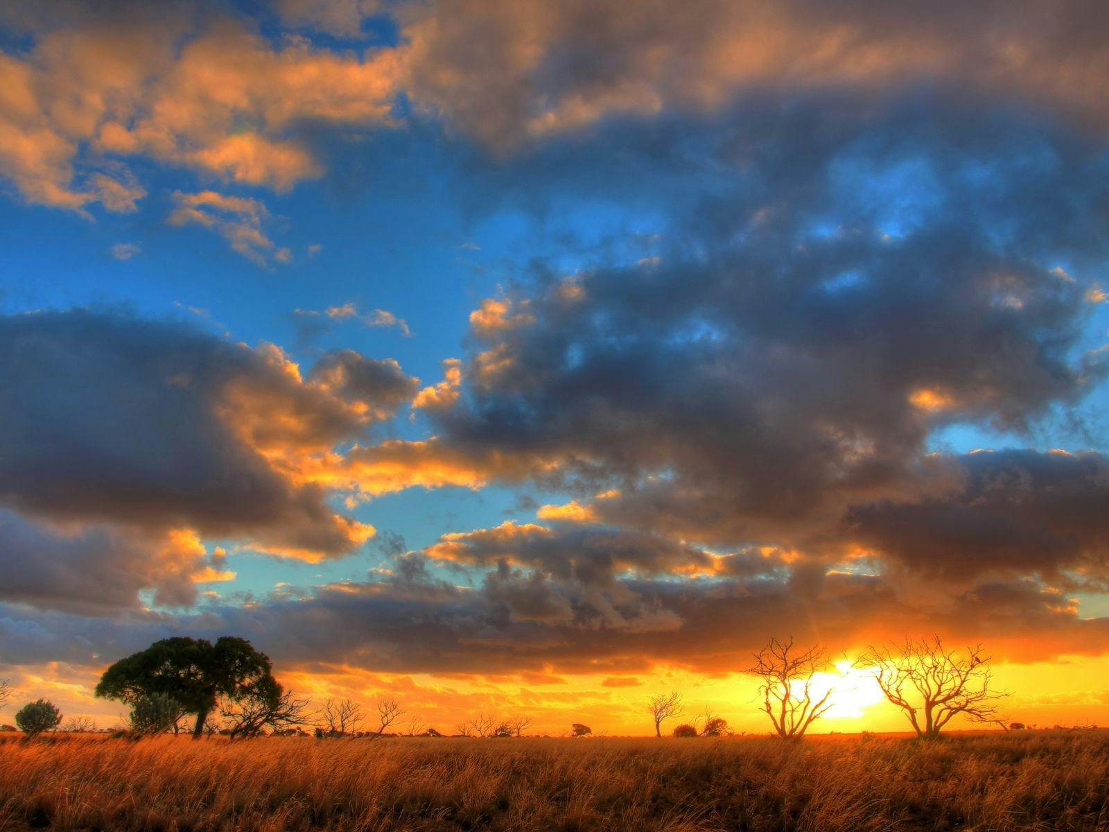 A8068Ef98104821903561C9B95242C90