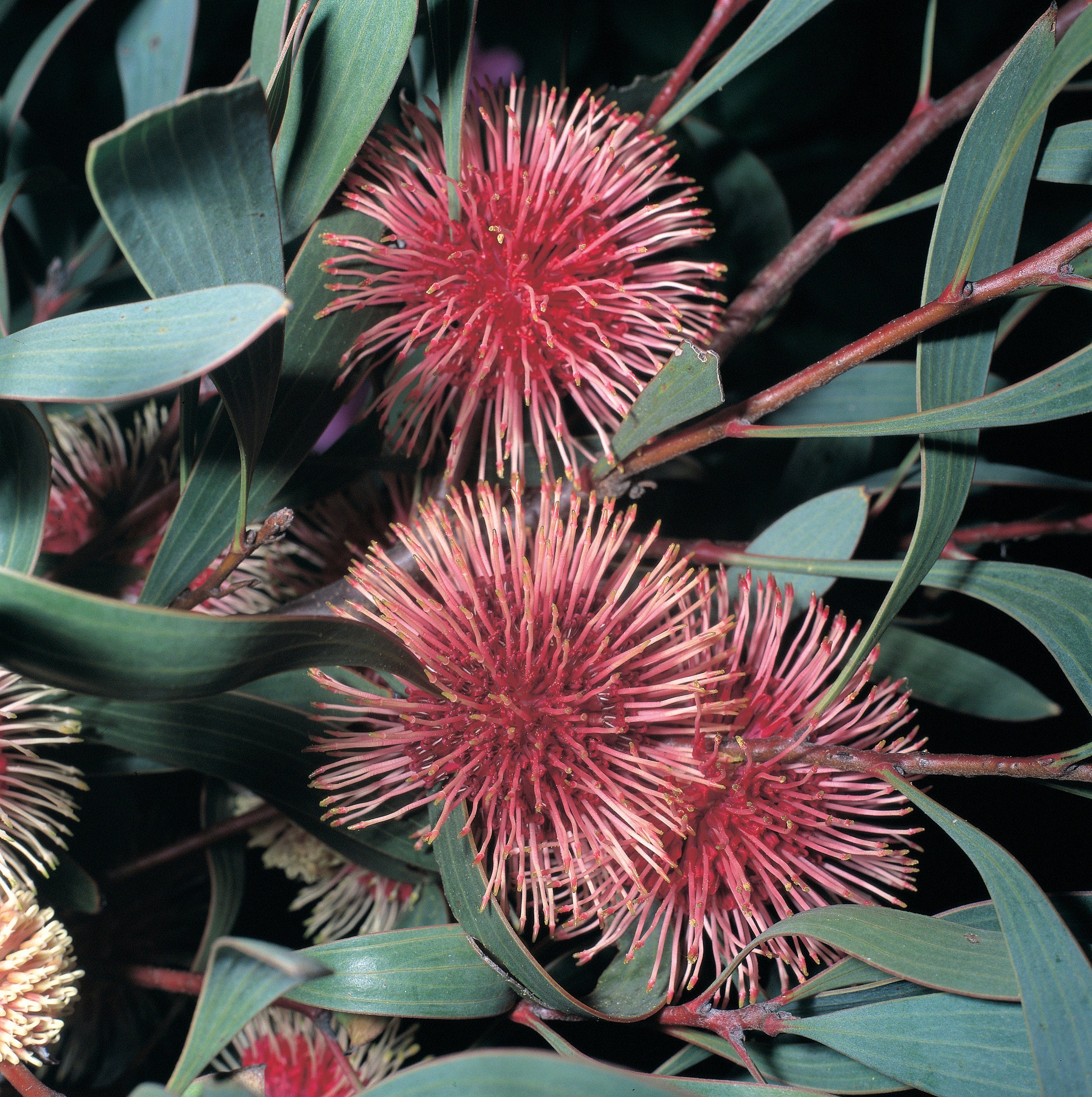 Aa790Ee4Aaec755161F5Be522B5A2Ec3