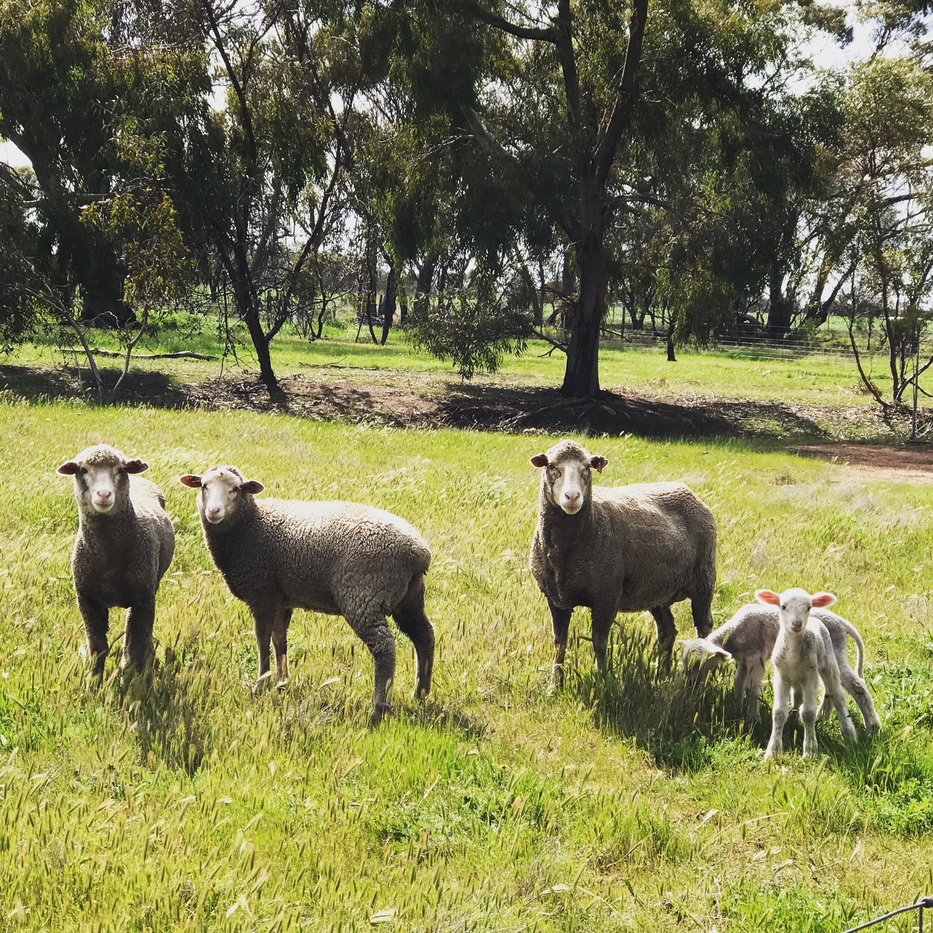 Ad1A663D5E0Bd0D32D3Cc39Be705C2F0