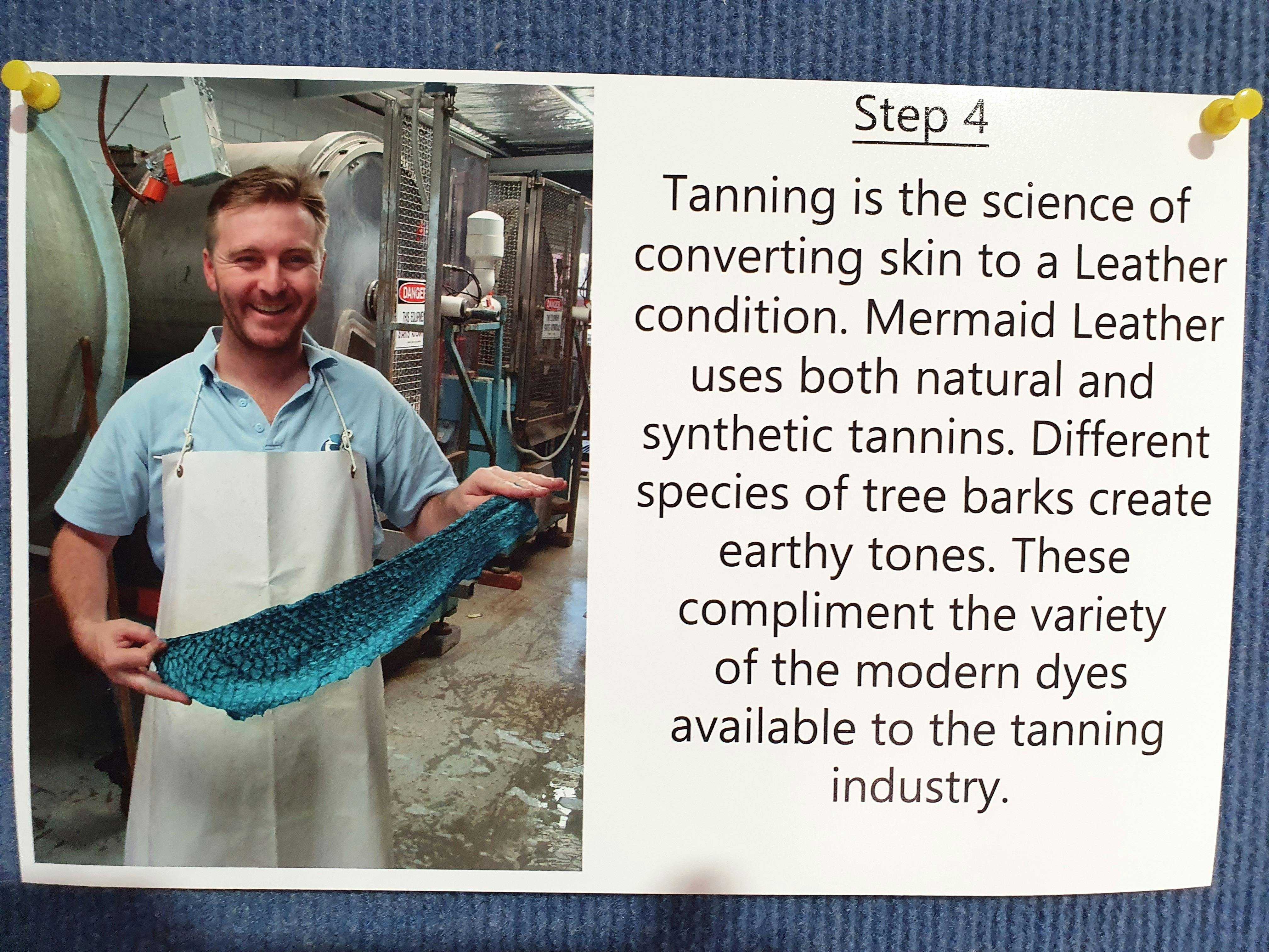 B00163C5733E21853C4A8F56E692Eaa4