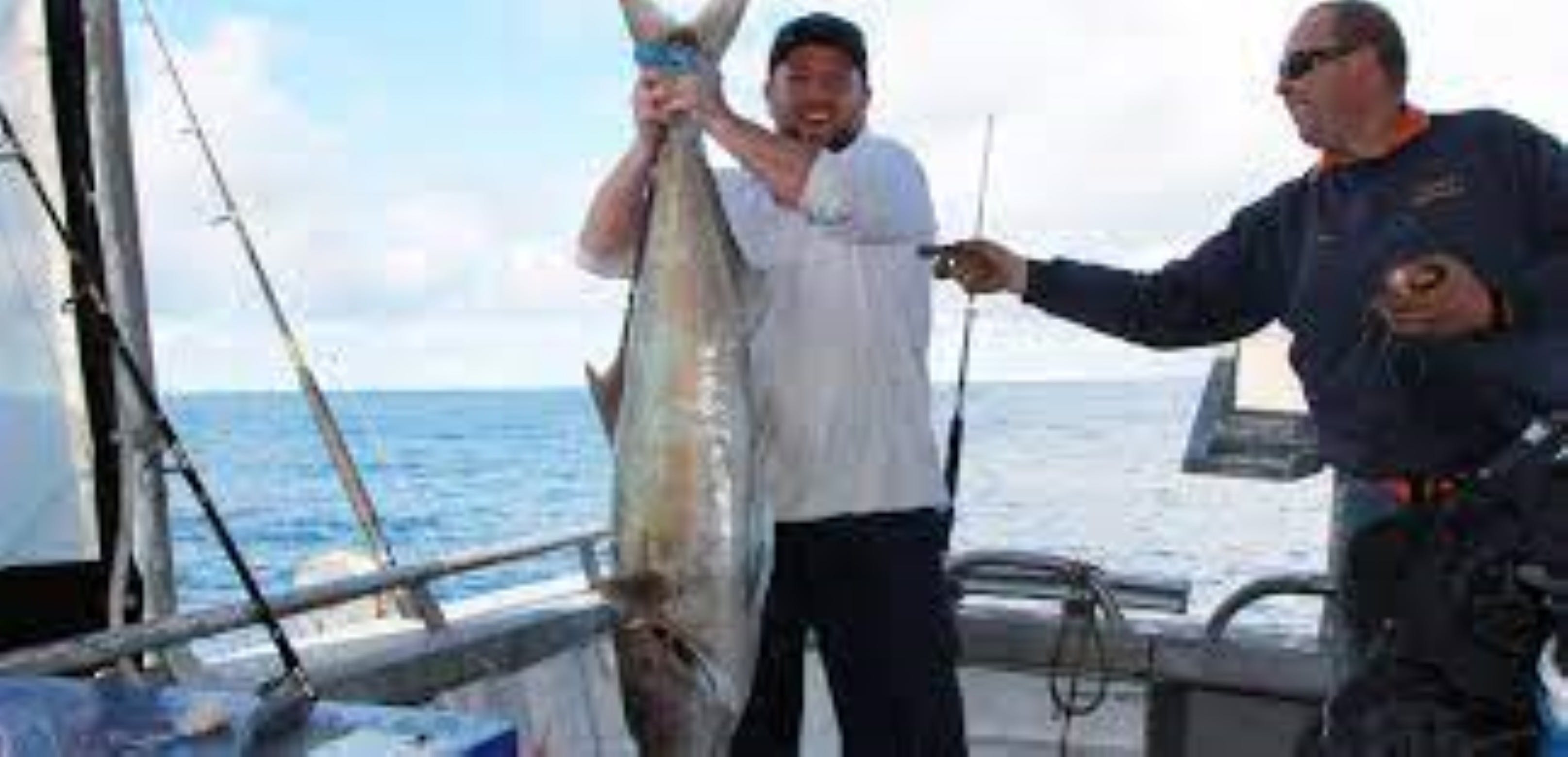 B1Bb2446771E5Cd1D0C44043D880Ca96