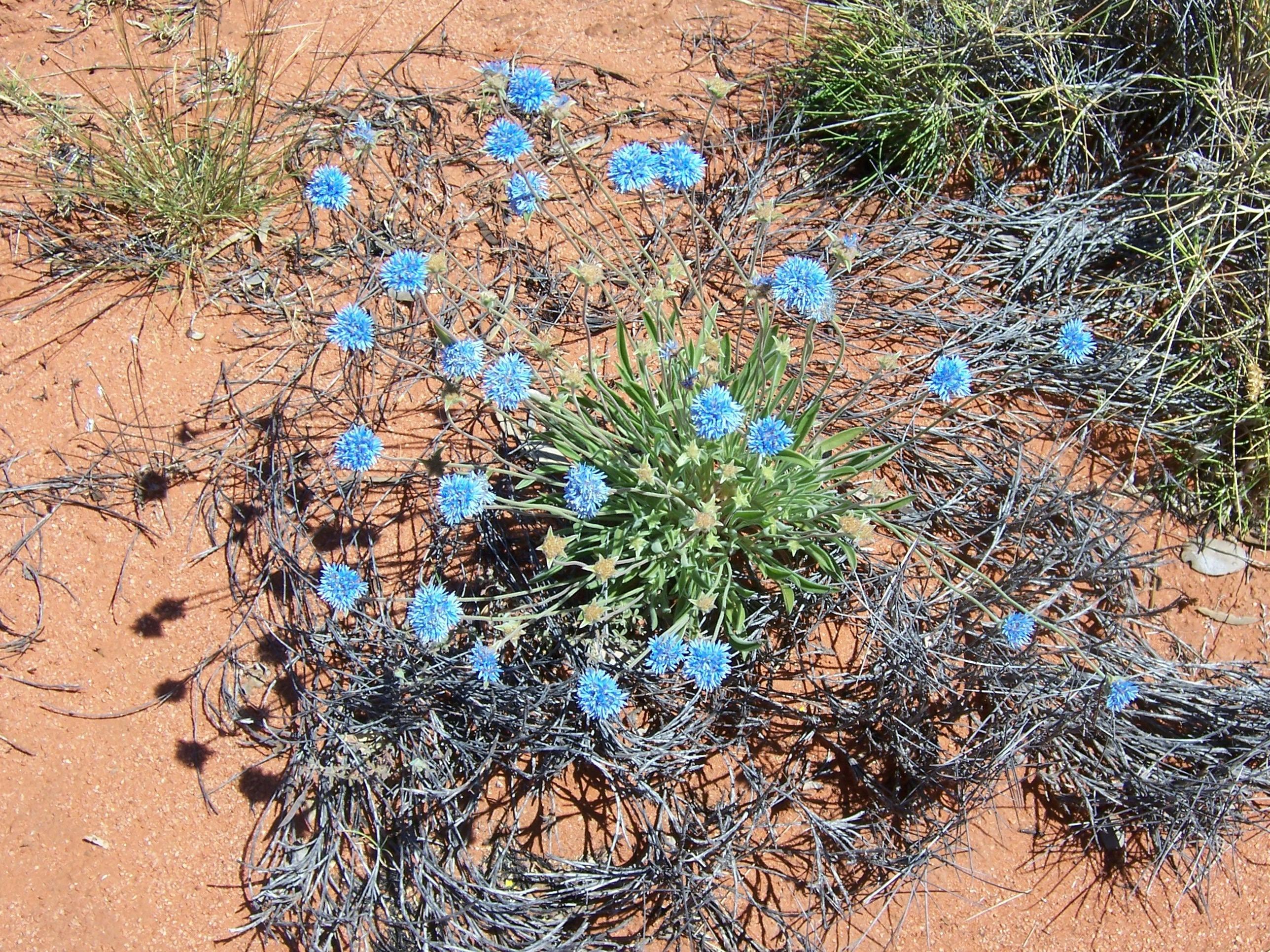 B605Fed25Dbd746109Ccce177C6B8D4C_Rijqvqh