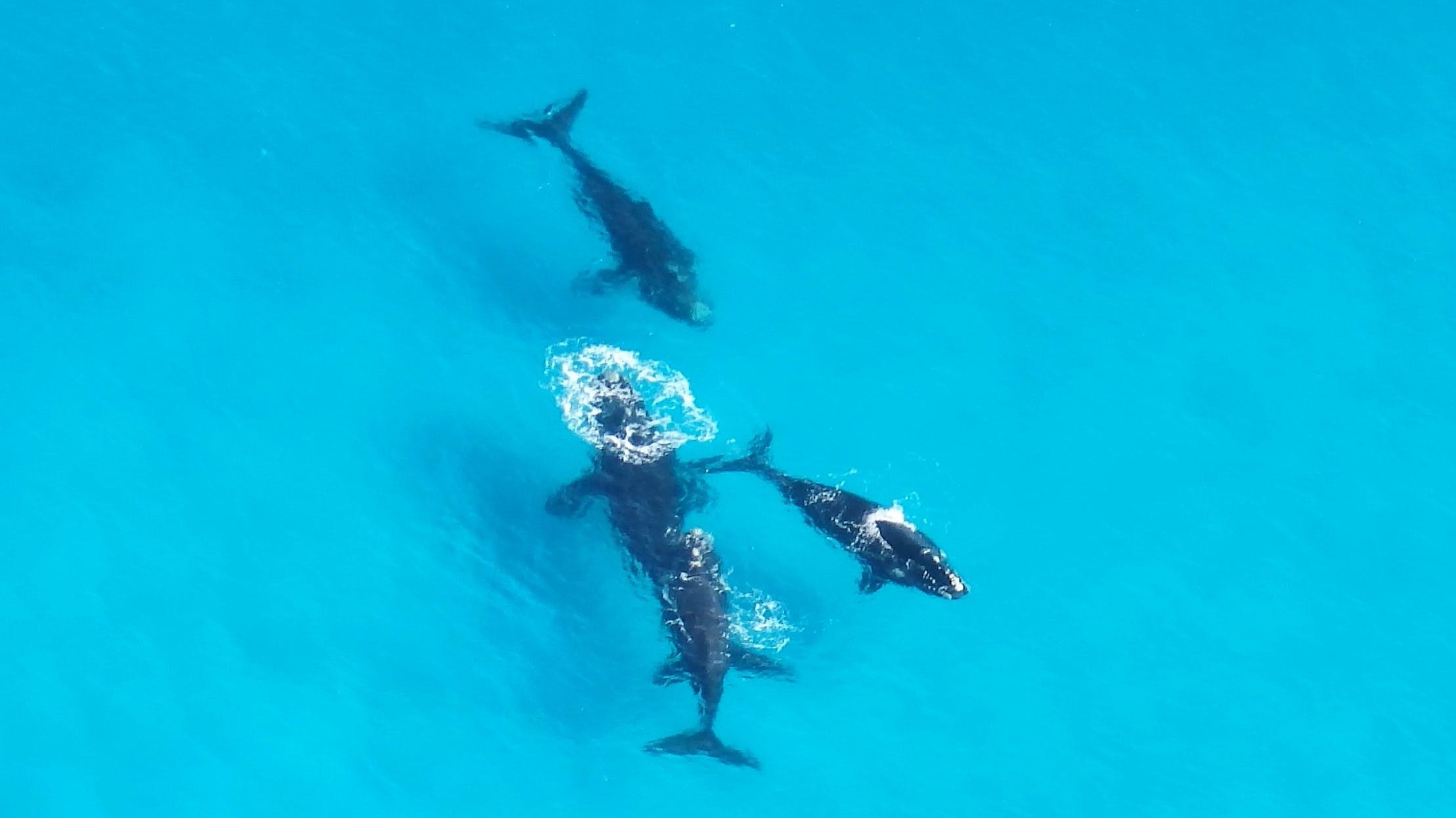 B934126392547A208170Fa9B4D76C5F3