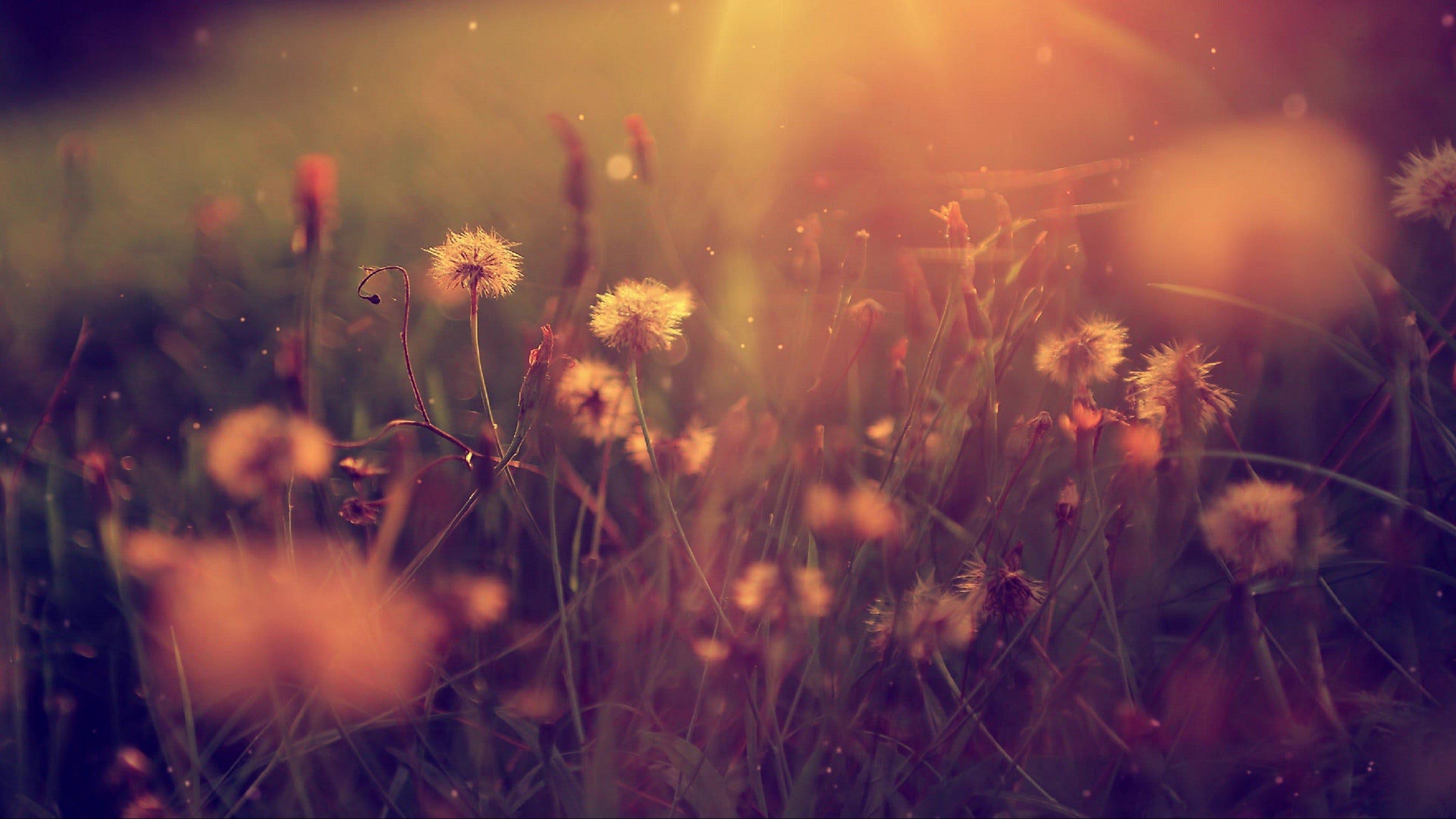 Be4E4F68606A5E9C36F151Eb38D9Bd36