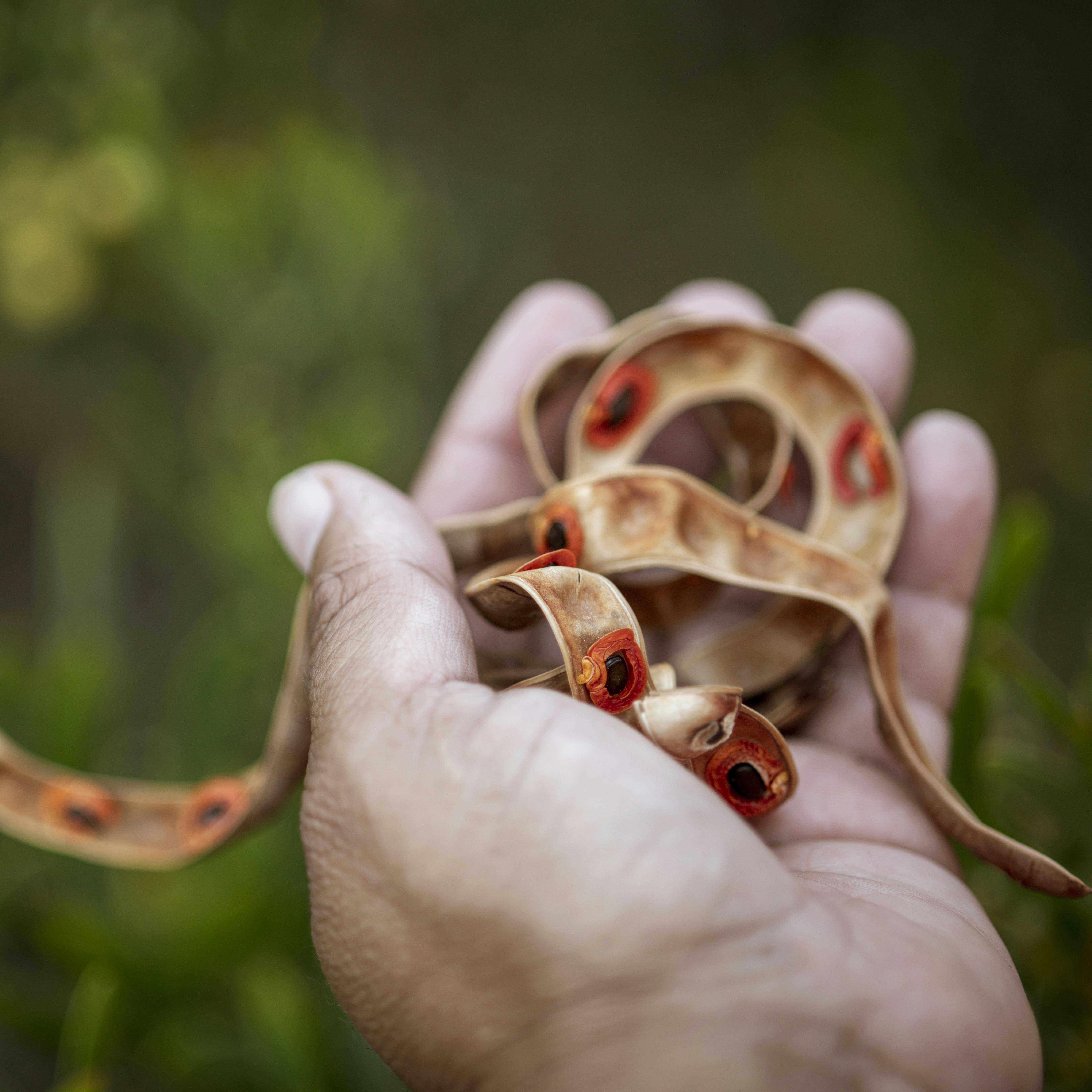 C04Dadf34C377Cc8E6B26093523F88Da