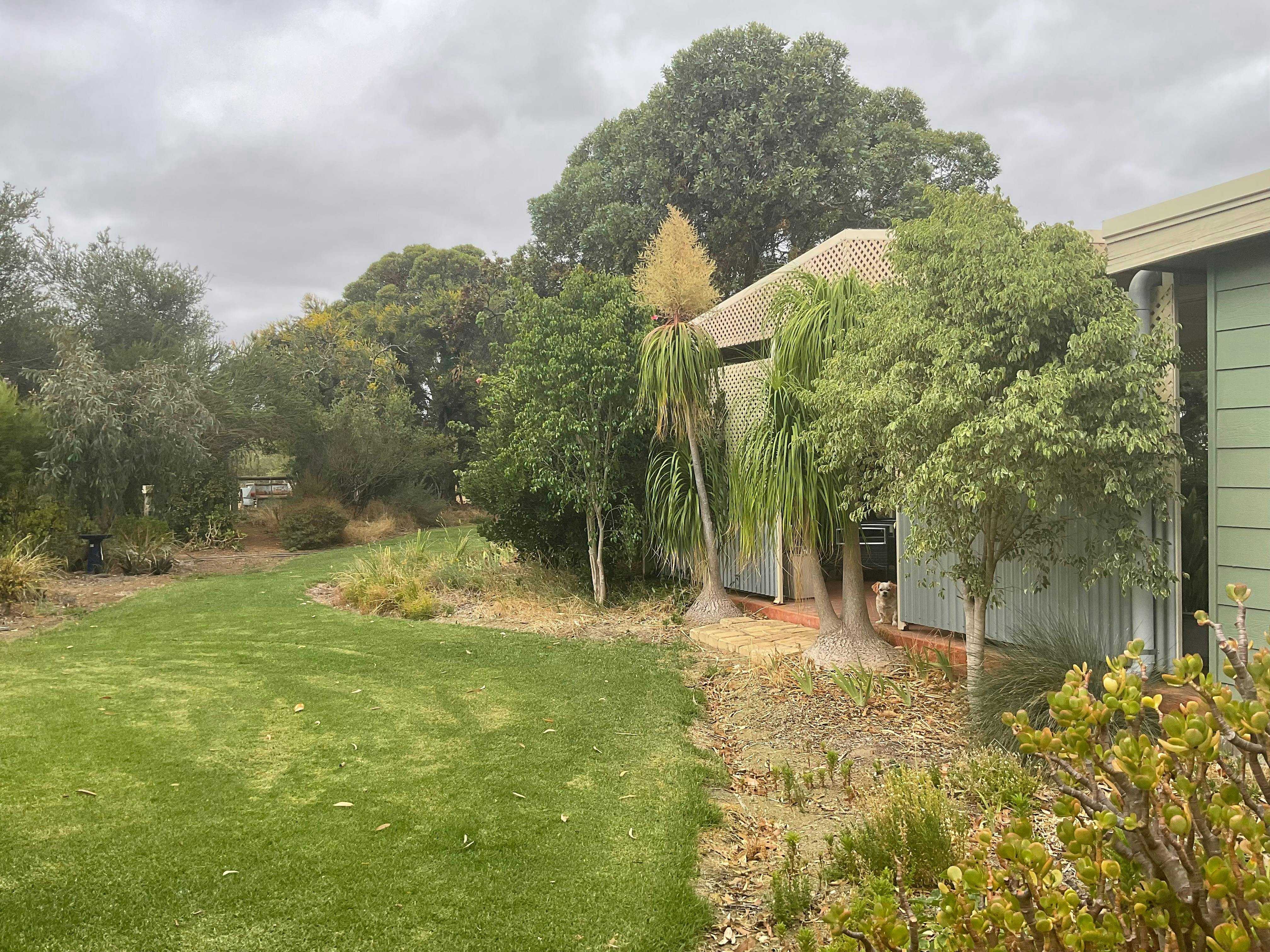 C25Edab5Ca7Dae8A58A06B61Ed615245