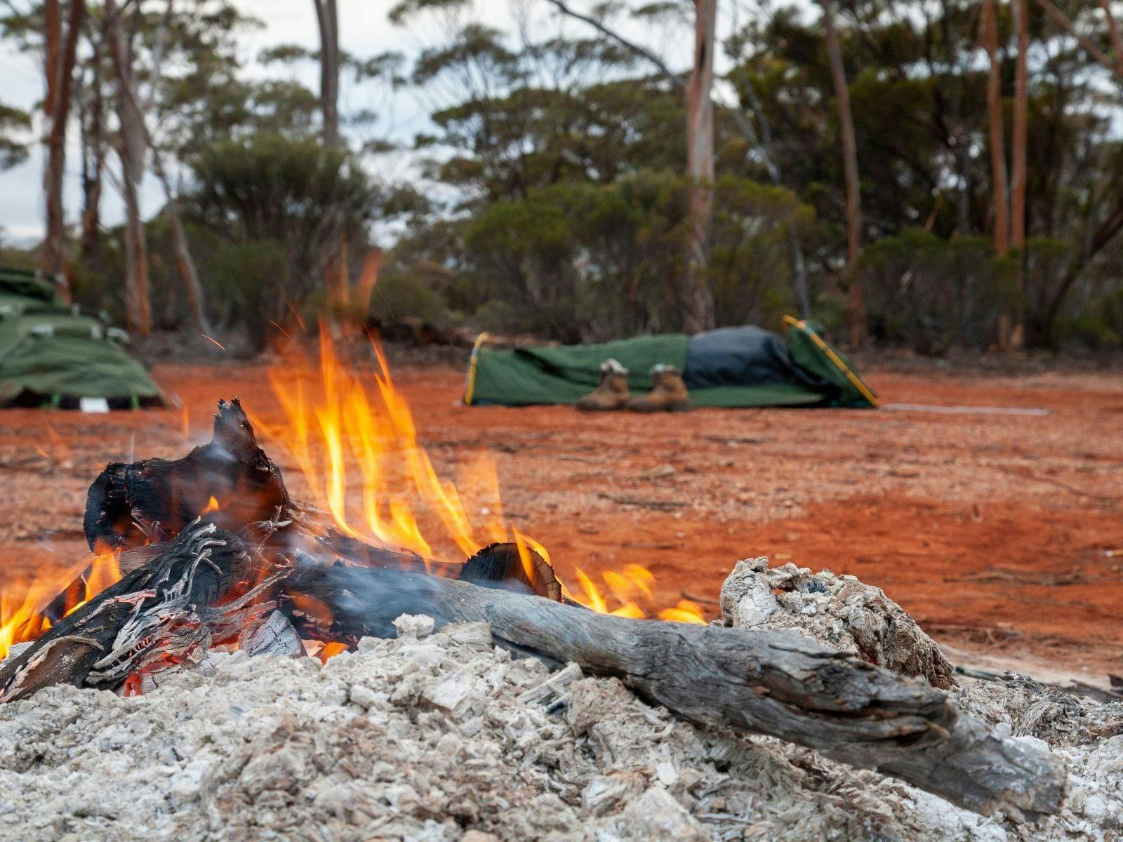 C33F03B28Eae99Eacc7Ed5C586E0F1F9