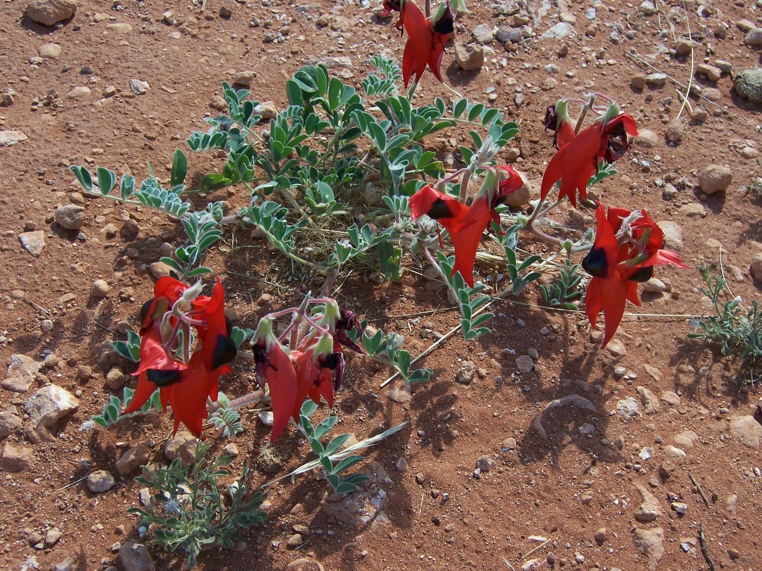 C9322D5154402373B1C5191Ff73D1B6A_D1Djo98