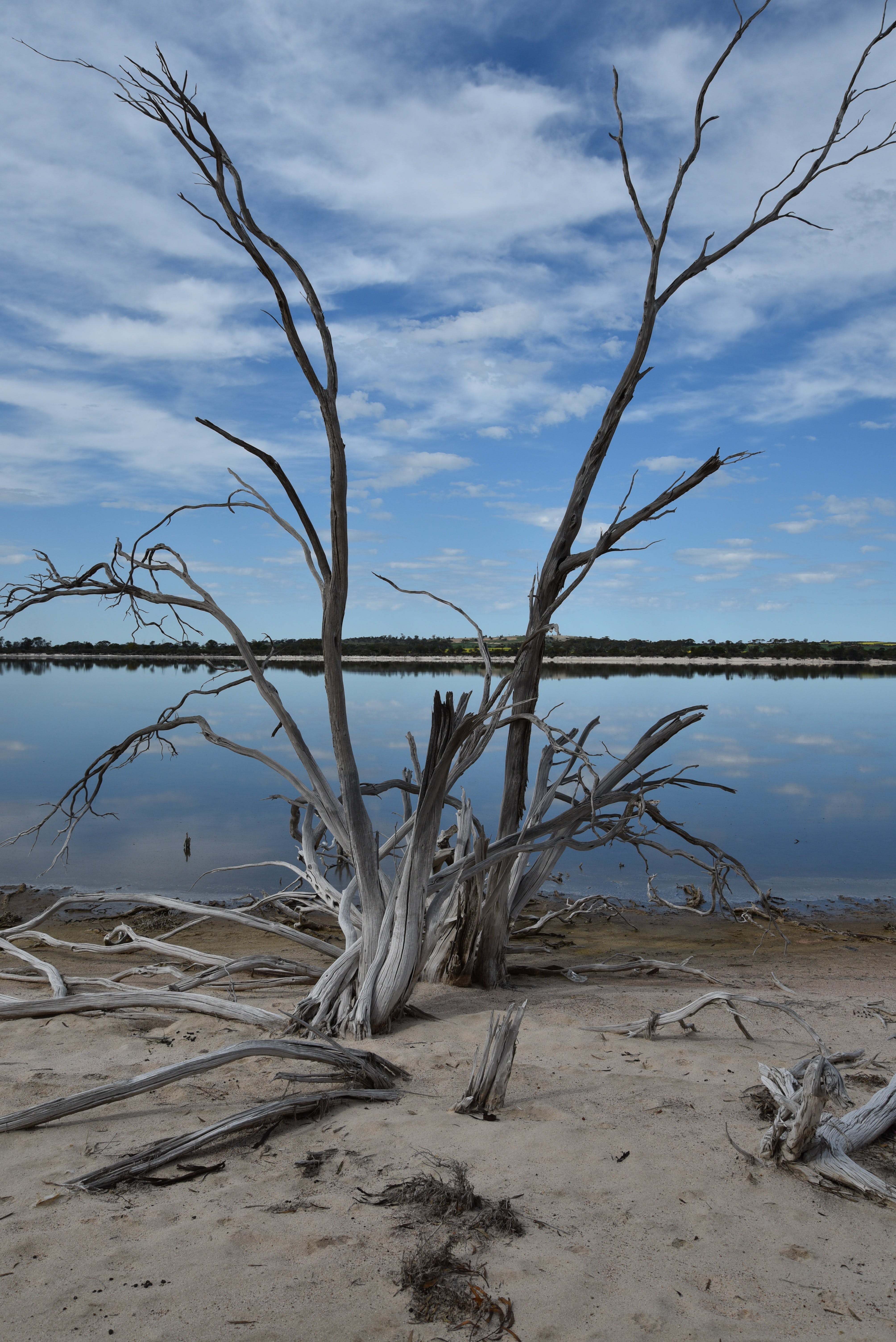 Cb6F56F76513Eaa4D09F128Fe33901Af