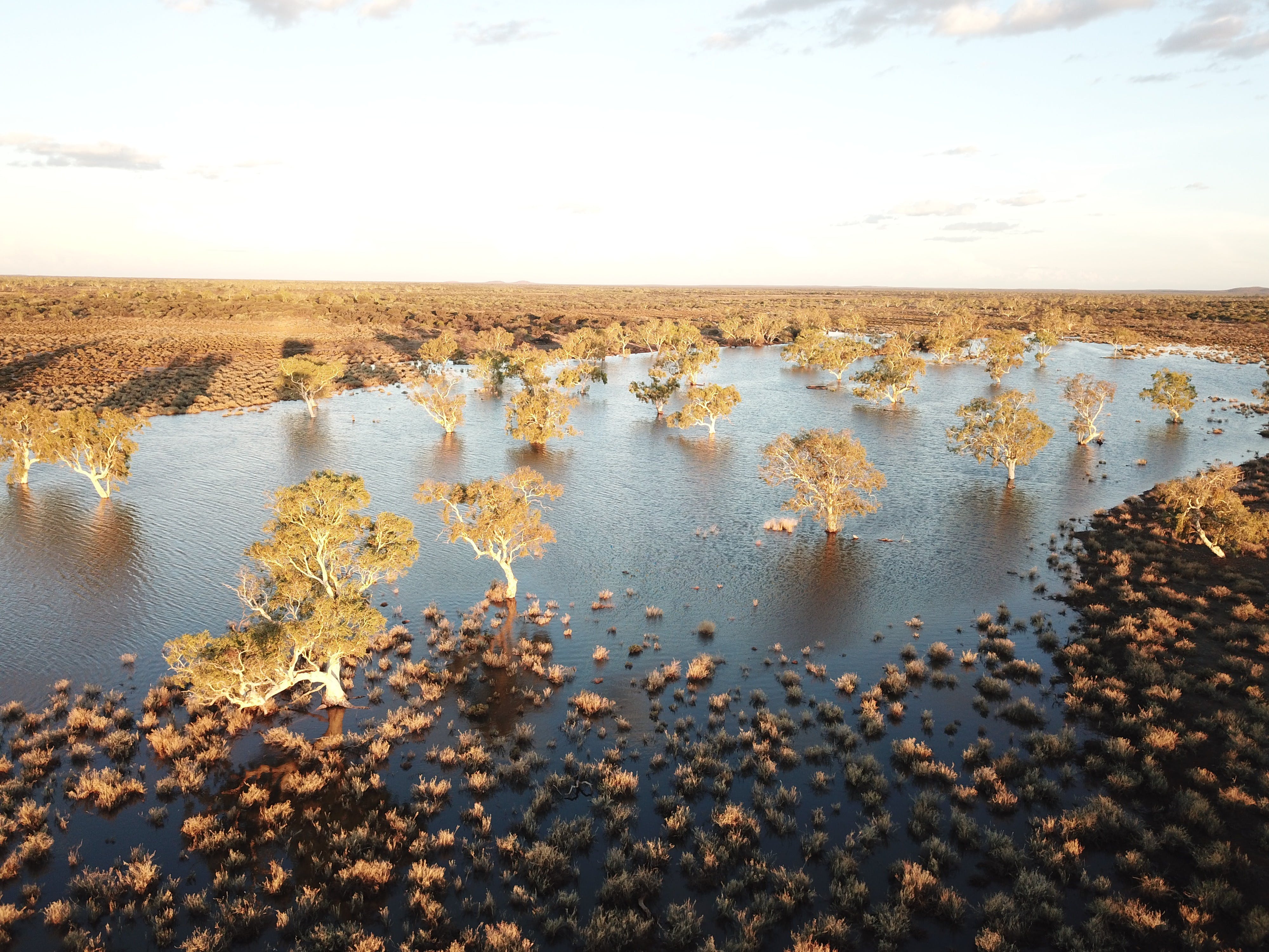 Cbd6Ac4Ae784C43Af6C3F9605863Ddba