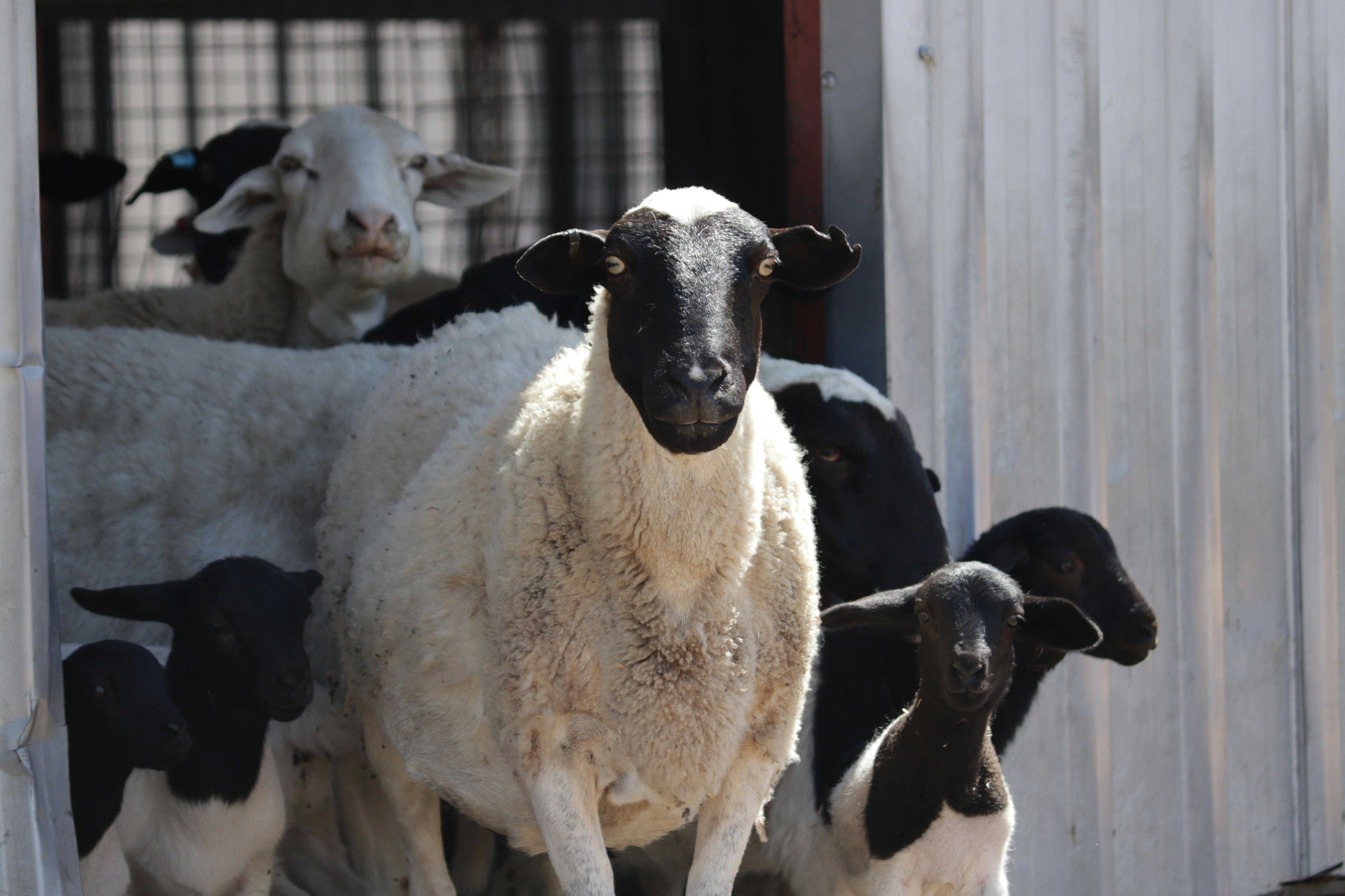 D30Edd3A8Fa373268C7D95C0Bff571C5