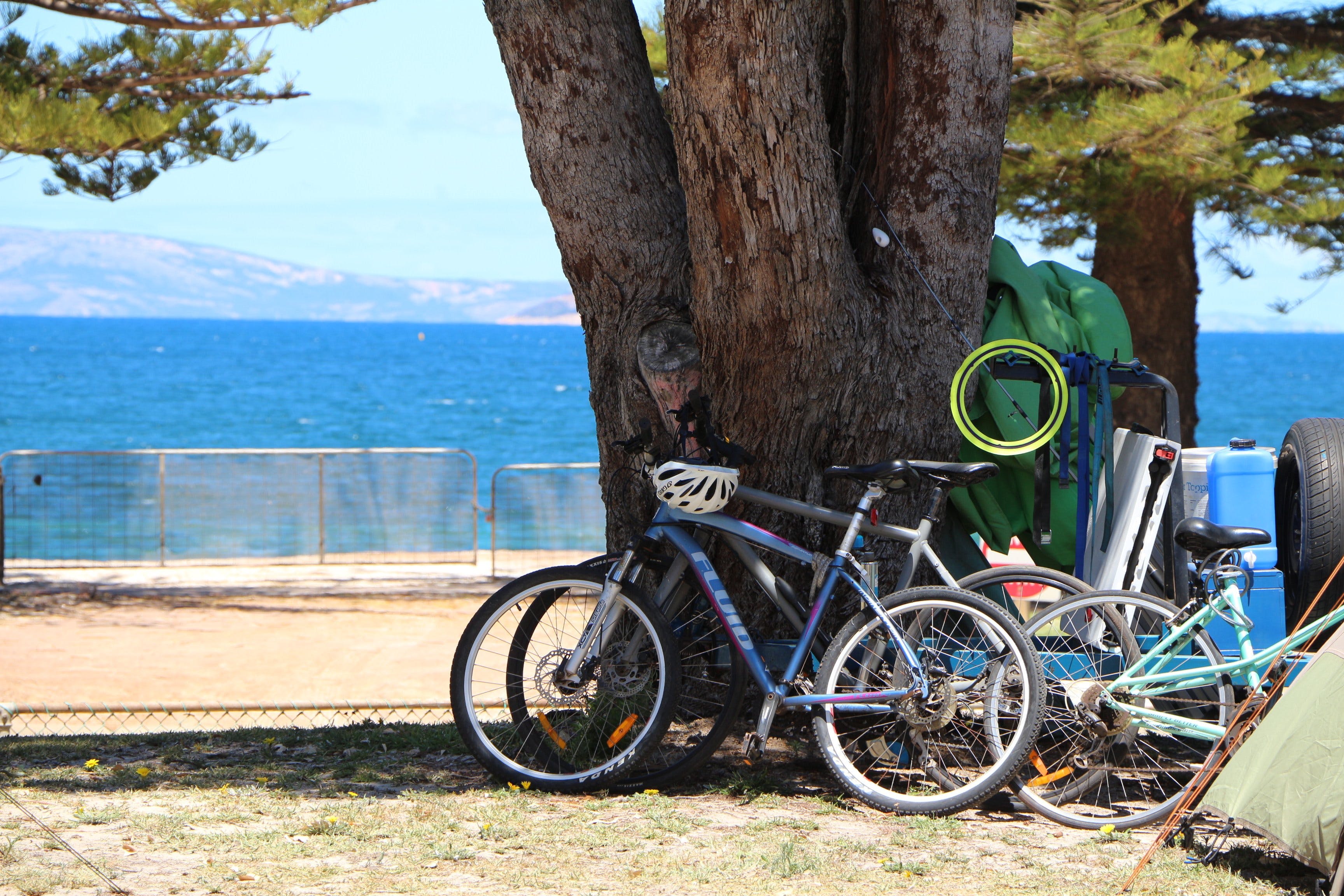 D4C8F0B2C842A2A5Aa5351560Bff5D5D