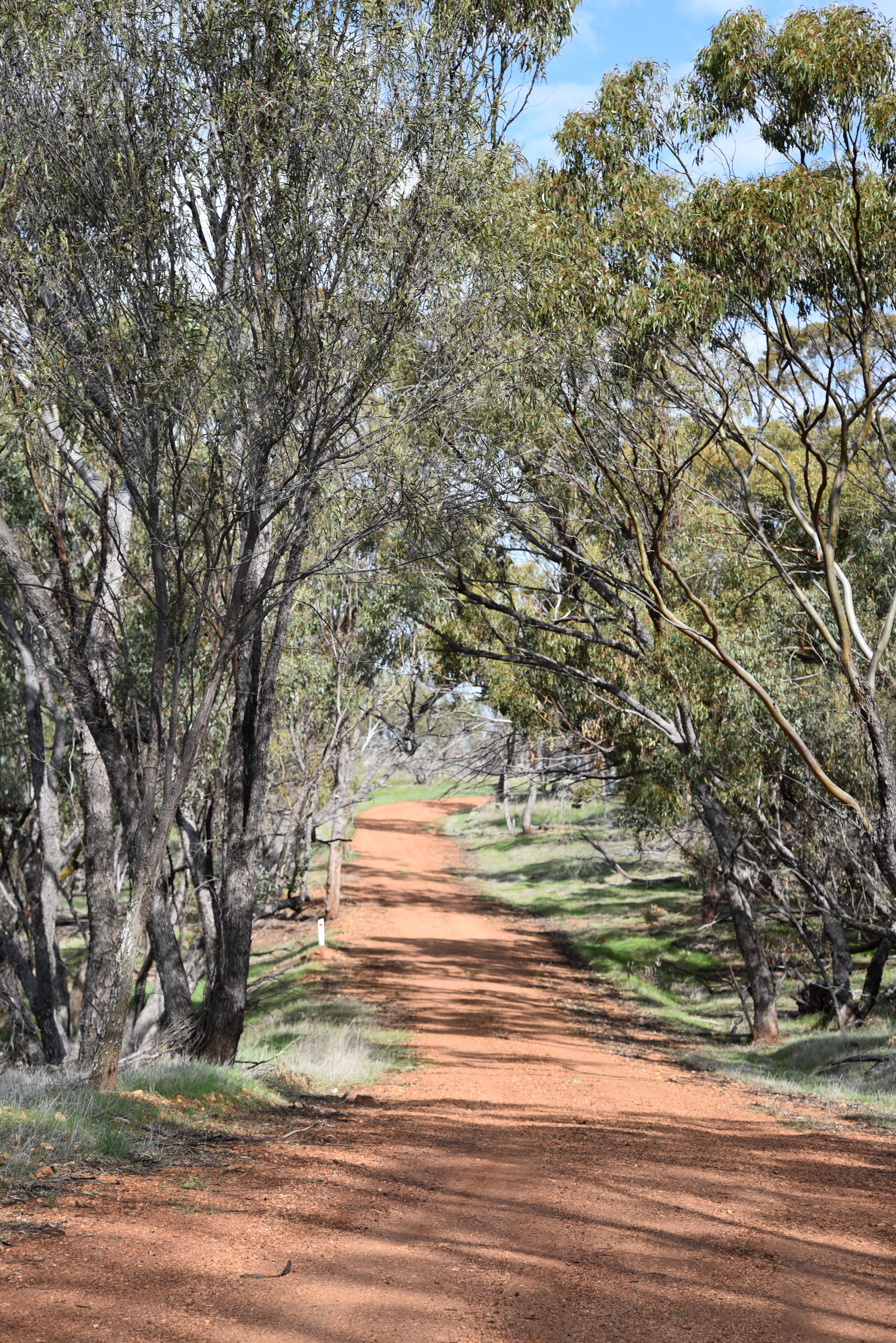 D5Bb59Abef679F87A913283F9A2C8C55