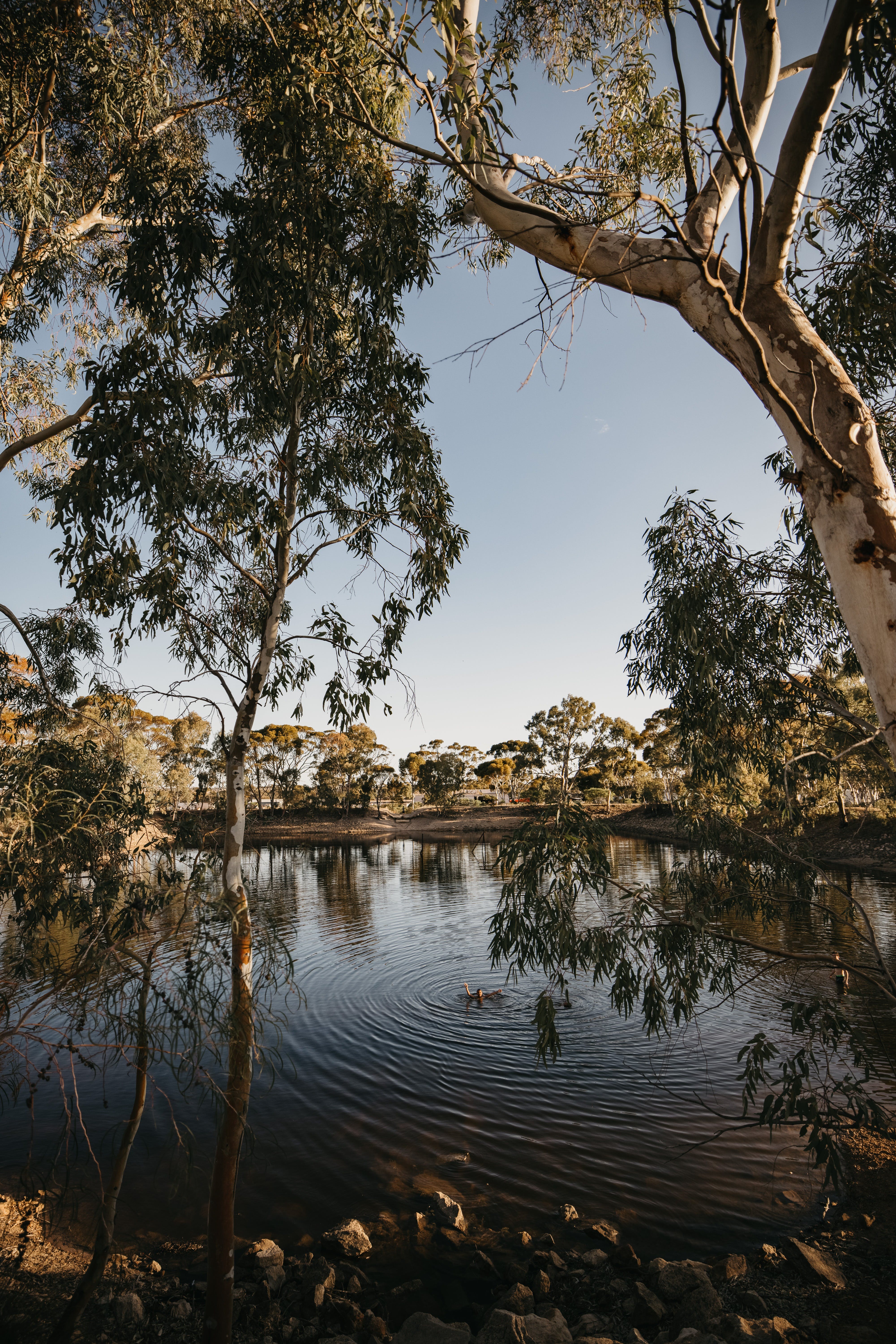 Ddd6Dacf837006355533Ea36841Dc6Be