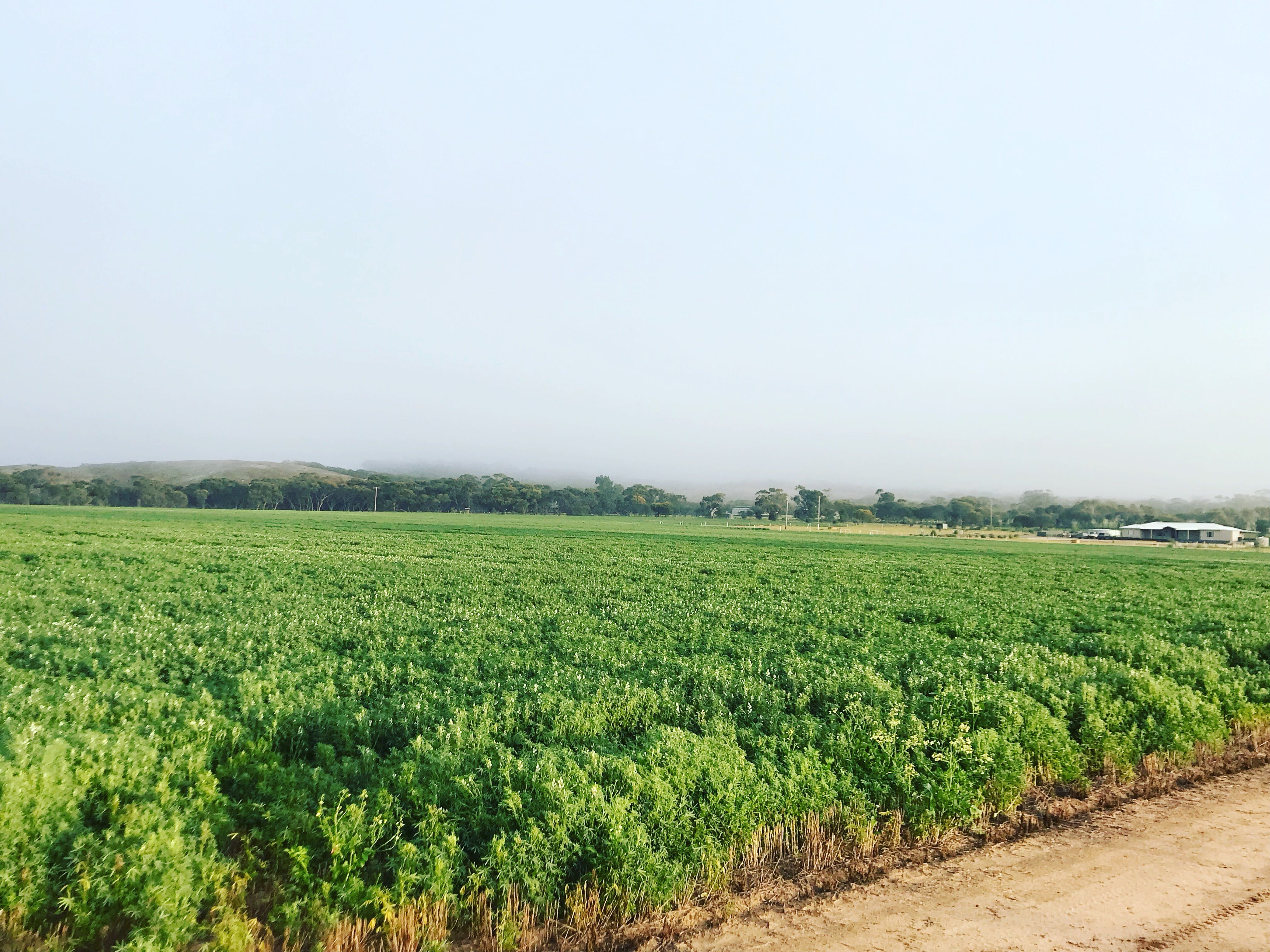 Ded4B00A48066107Aa019A938E17A847