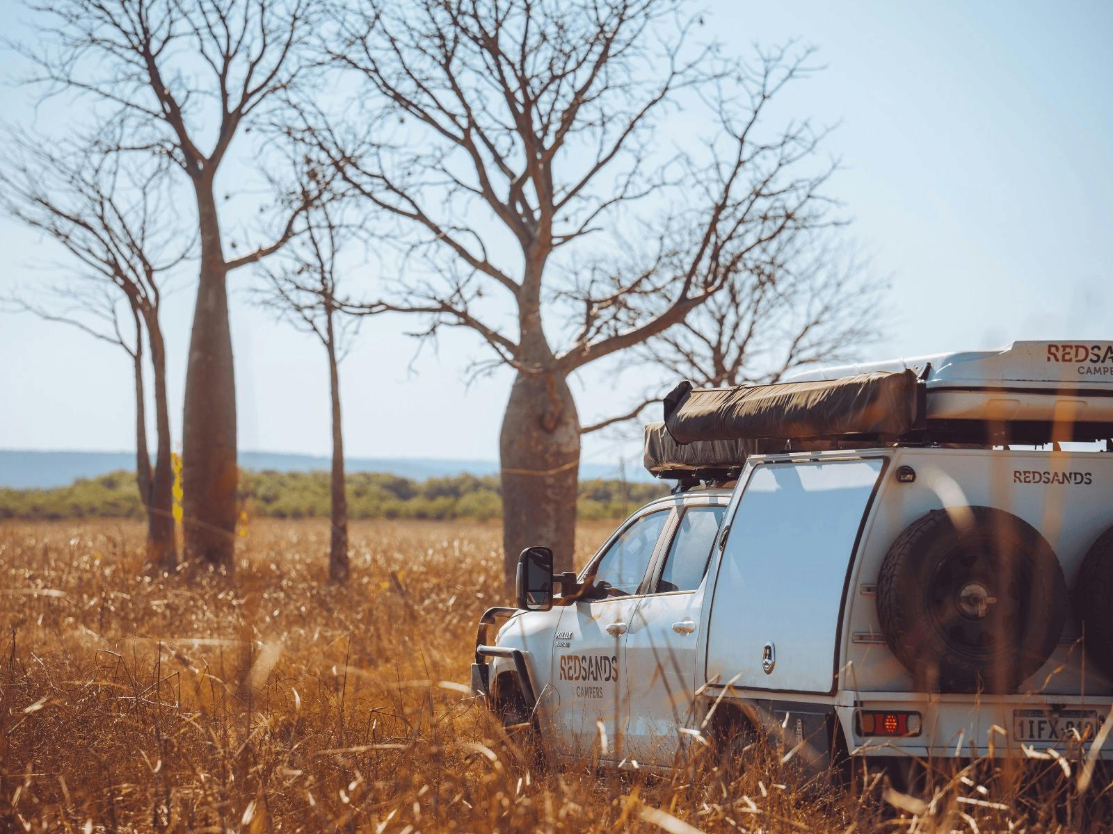 Dedc5C7Ba91D6638862999Bd2070D769