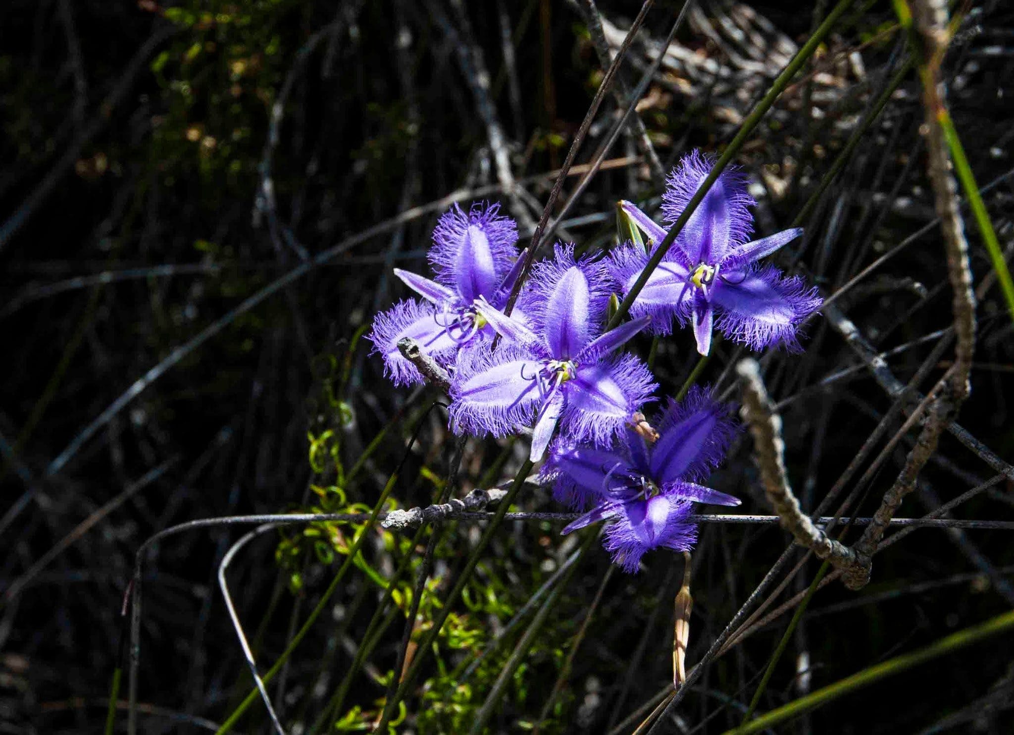 Df18384087893Dff08D82186Bd435F1C