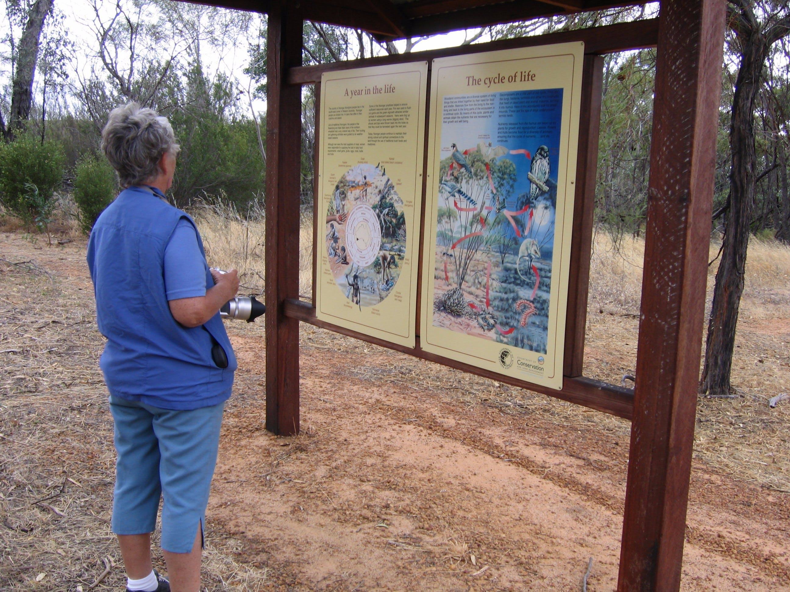 Df5Fbf9379334549Ca16D7D3417C399E