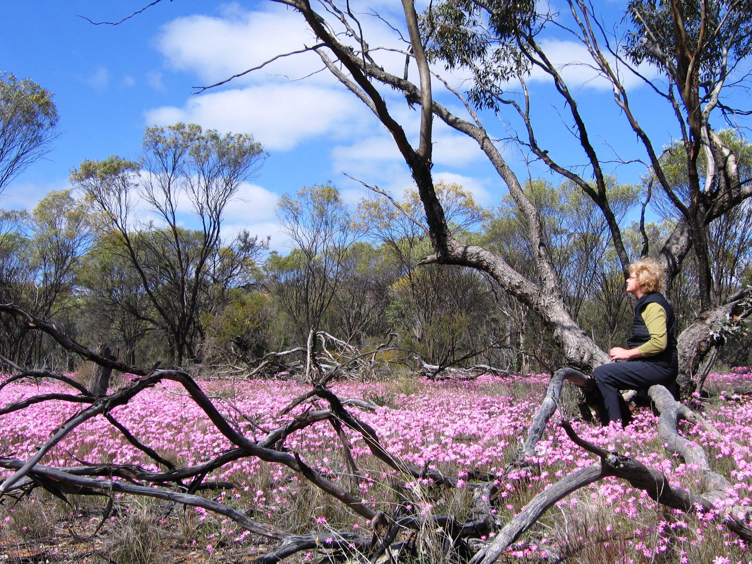 E778E84176Feeb60Ee94Dc53540D9Fed