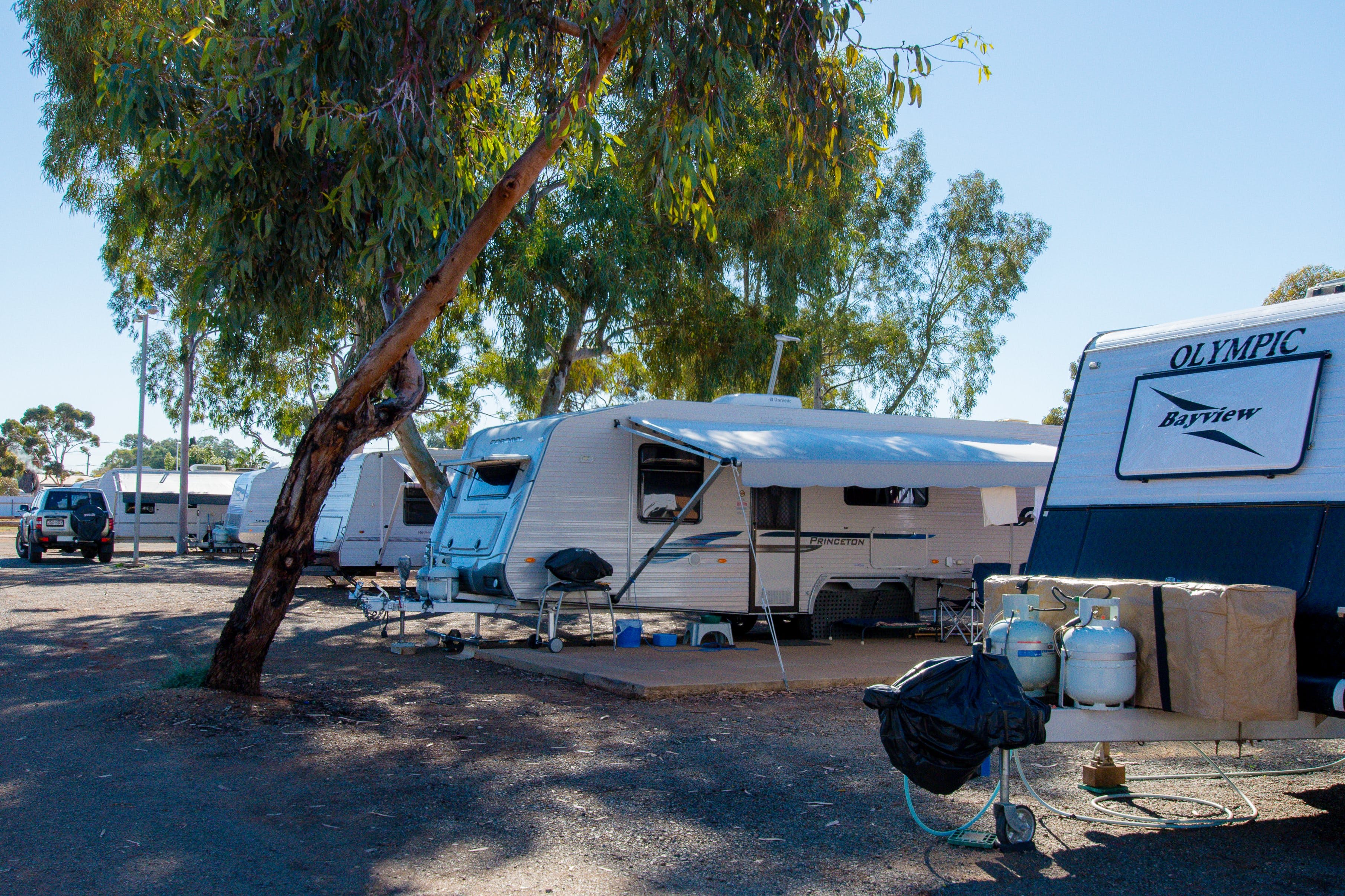 E843Bcfe659920Dc08D46307992F994D