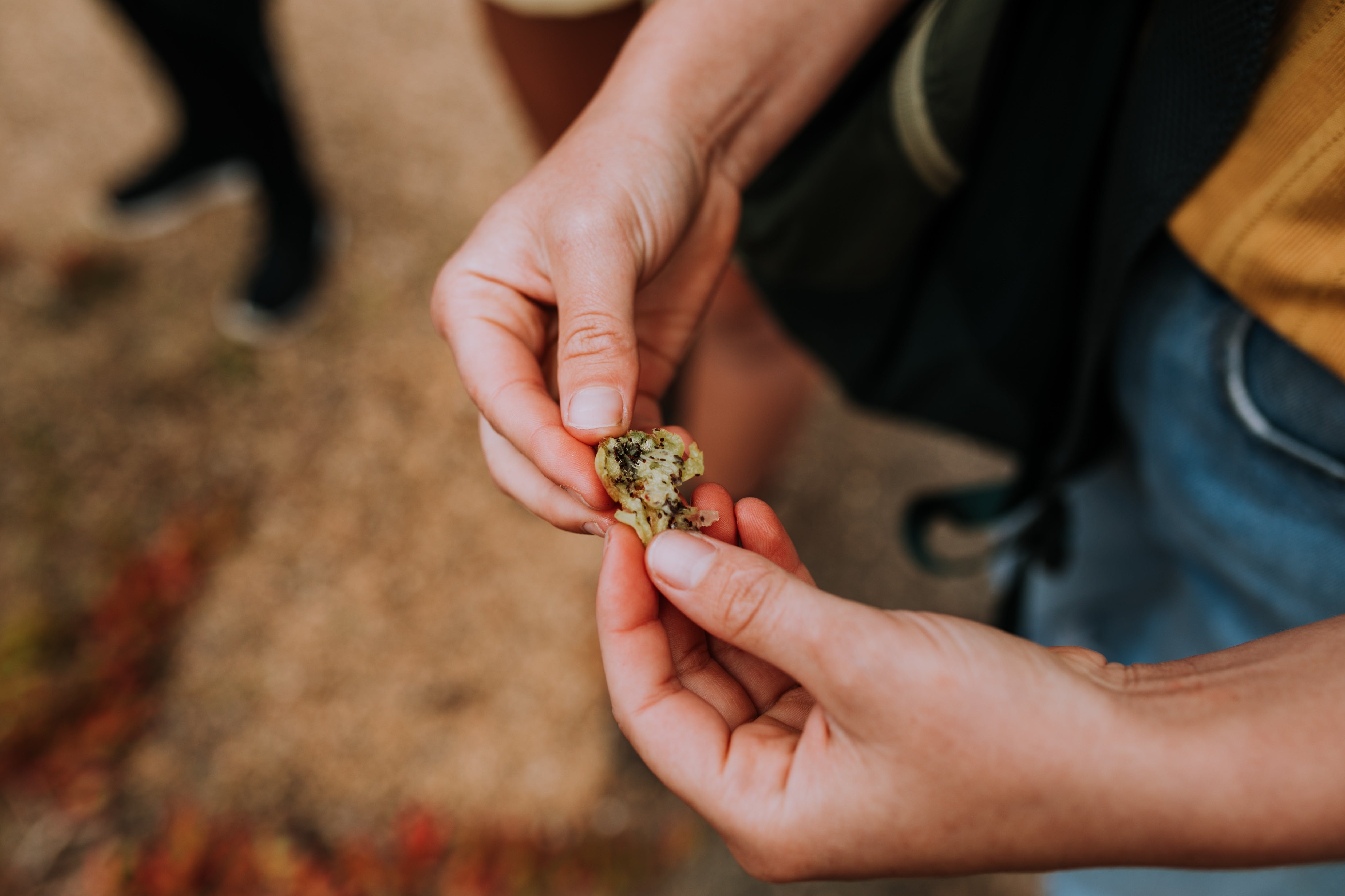 E8Dabb2678Bce766Fdf122Ba9A7Abcda