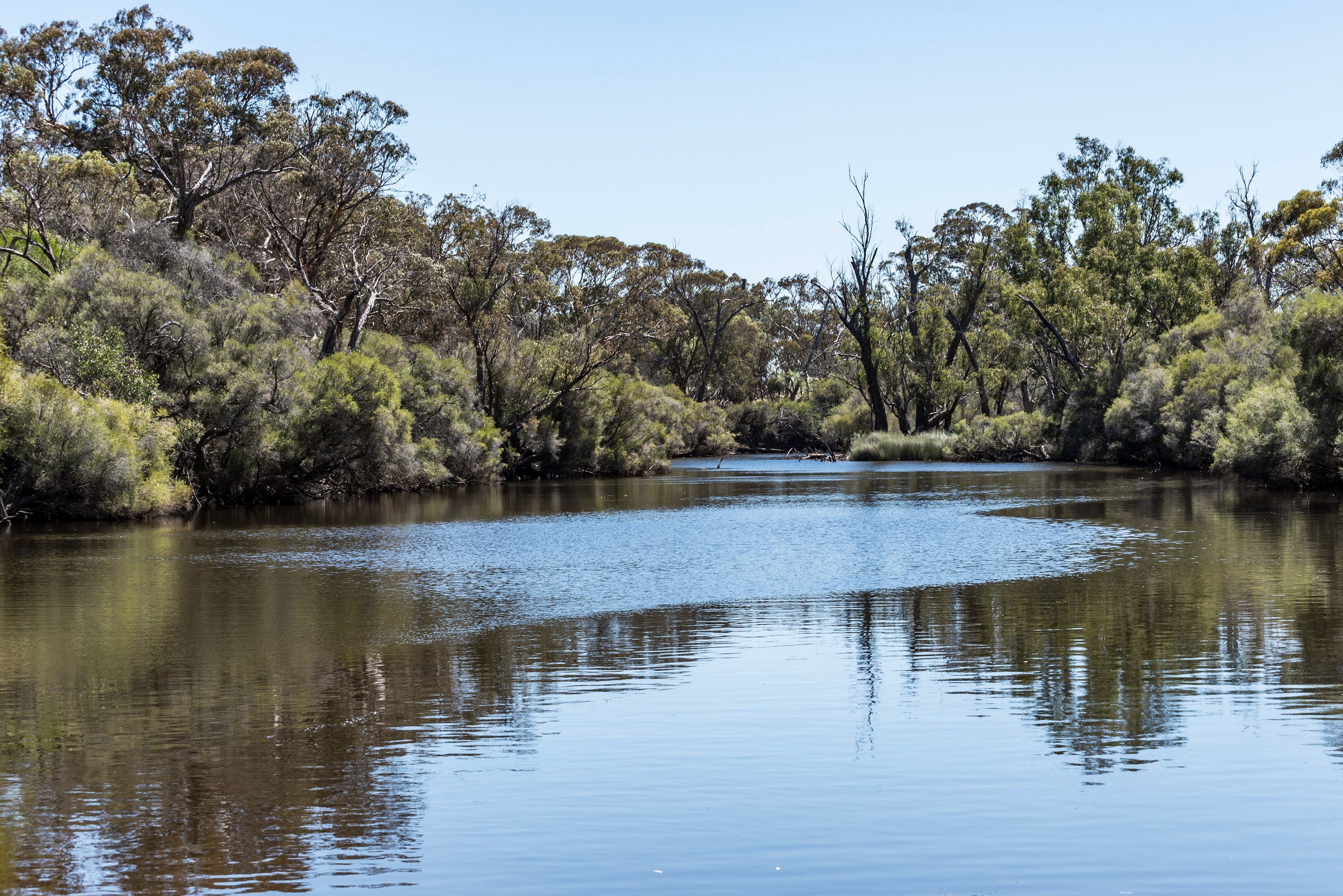 Ed215C25D76D8113052Ce19D541Afa54_V1T1Ghx