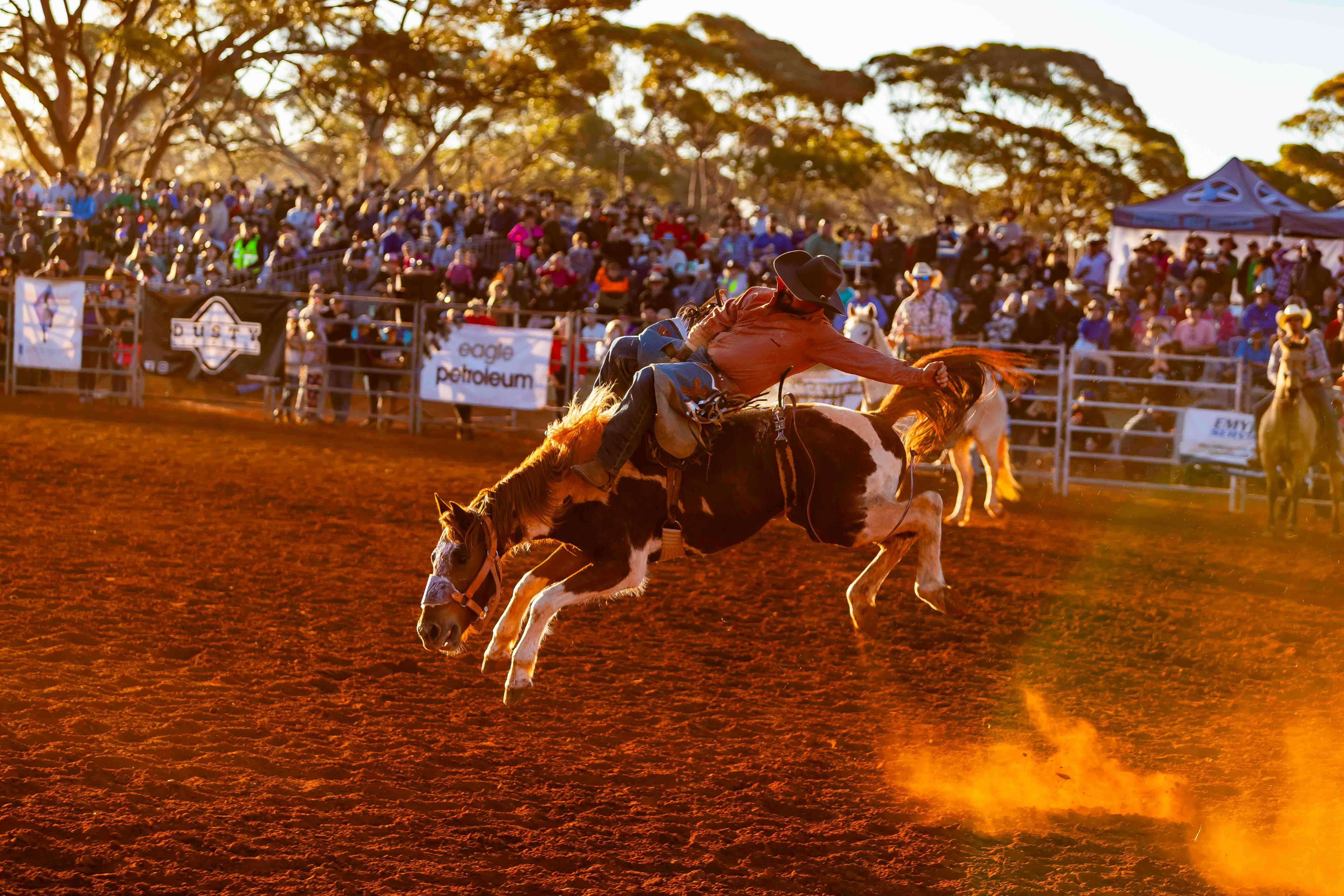 Edbc61B2F33218Ccac5216Cea768D7B9