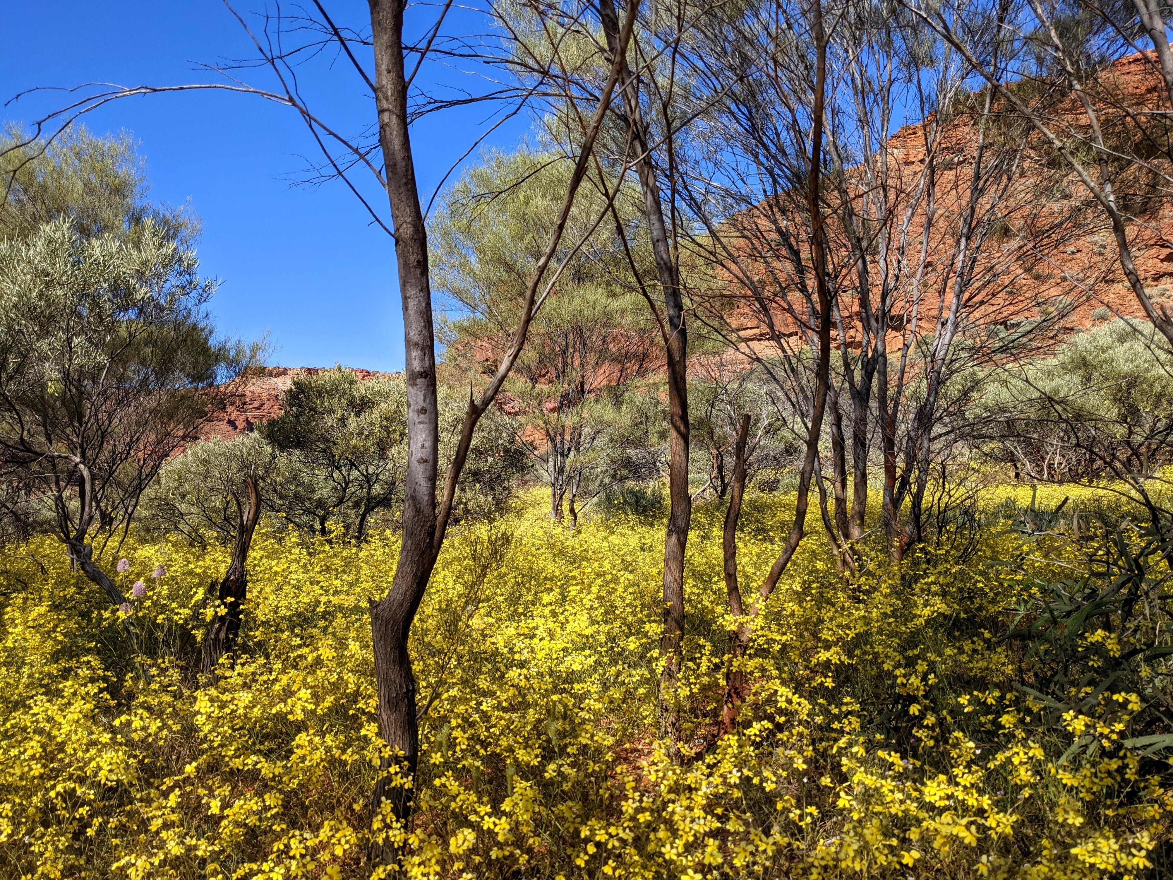 Eeb4634E45C30F6D5E3123E821C923Cb