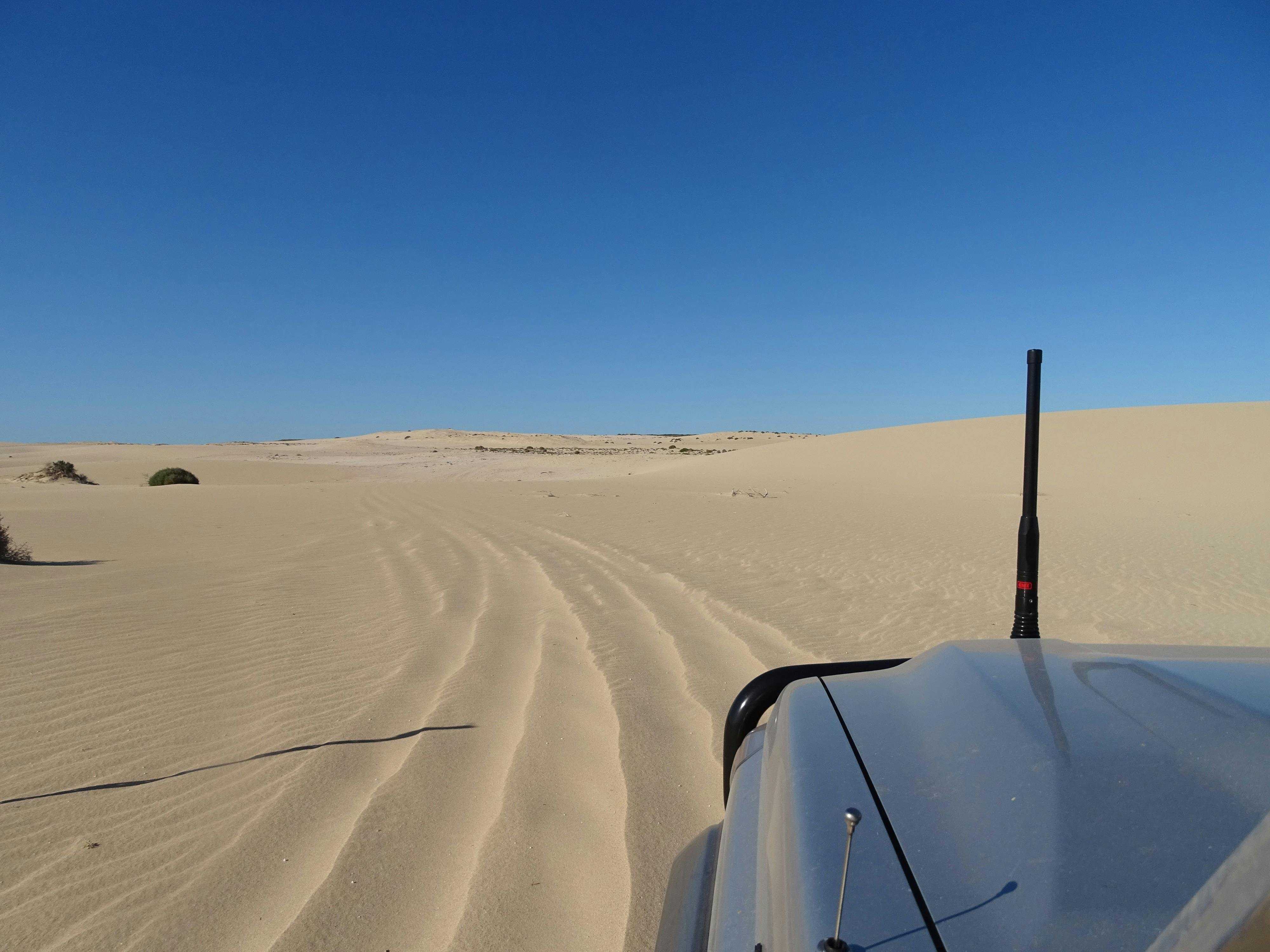 F0F53A098E2D77F3C2077966866083F1