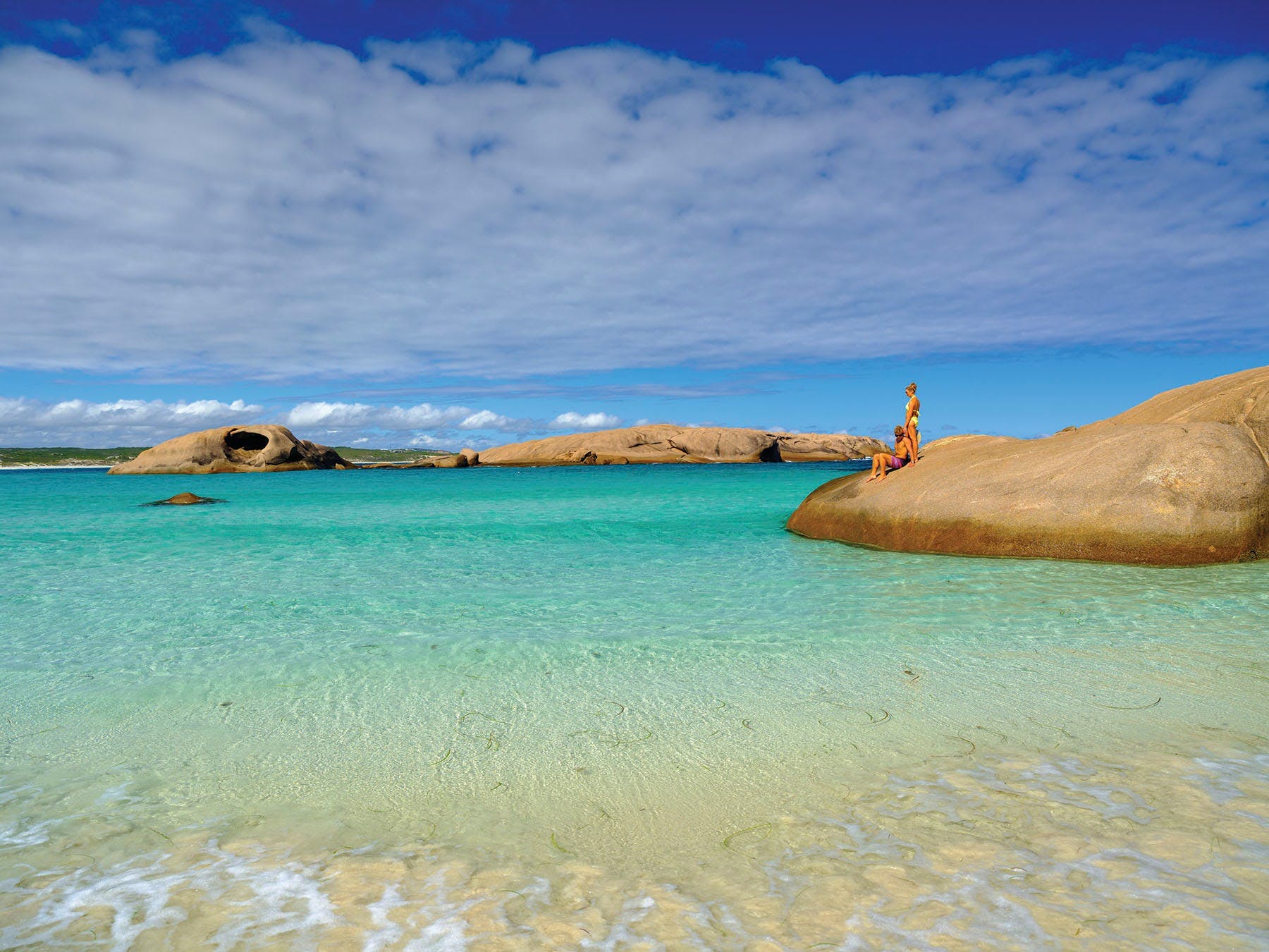 F1E6C6D4F282Aa230B9962Ef70212D44