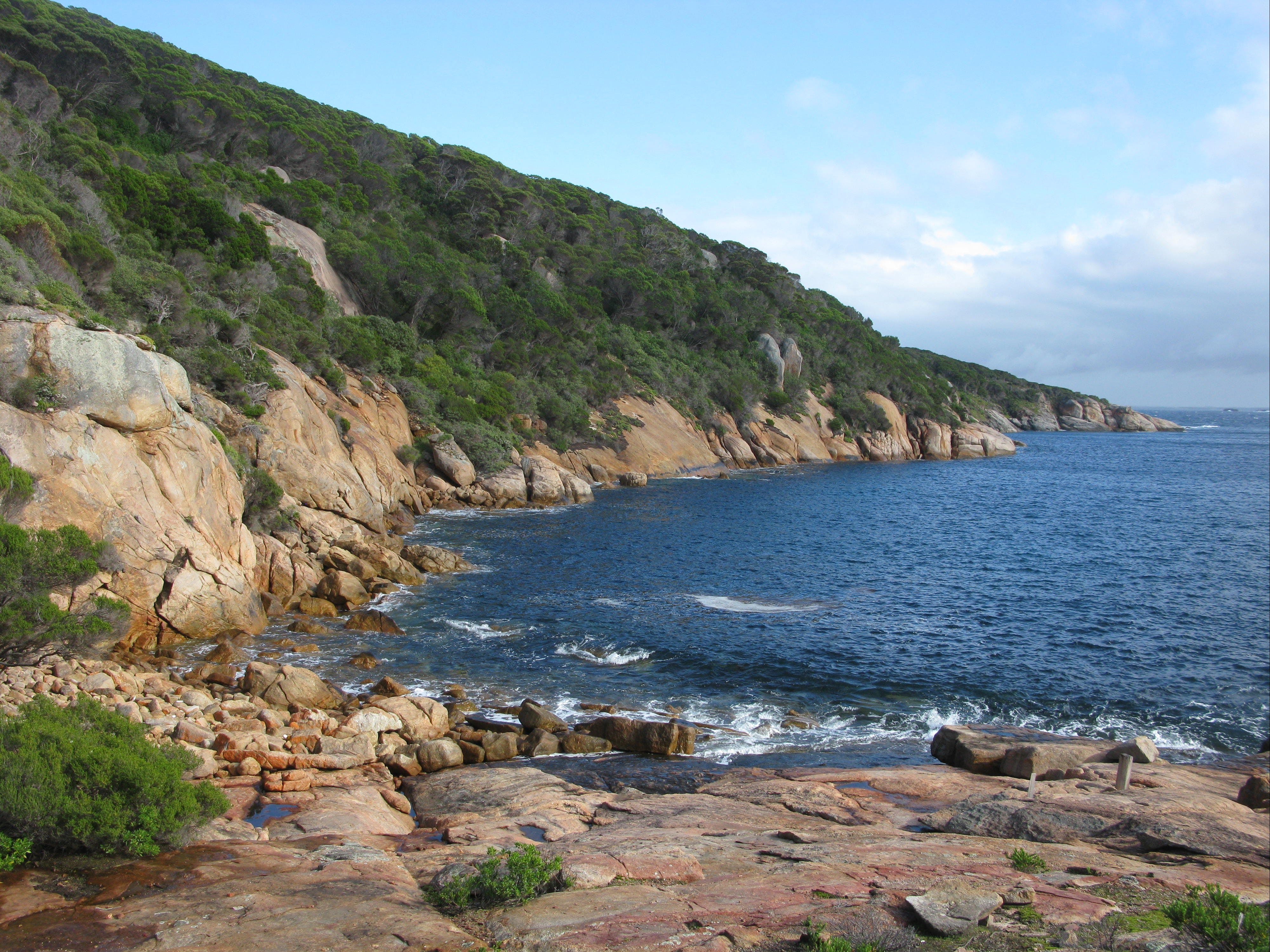 F5E9E98Db24005C72B00363E2Ee4Af53