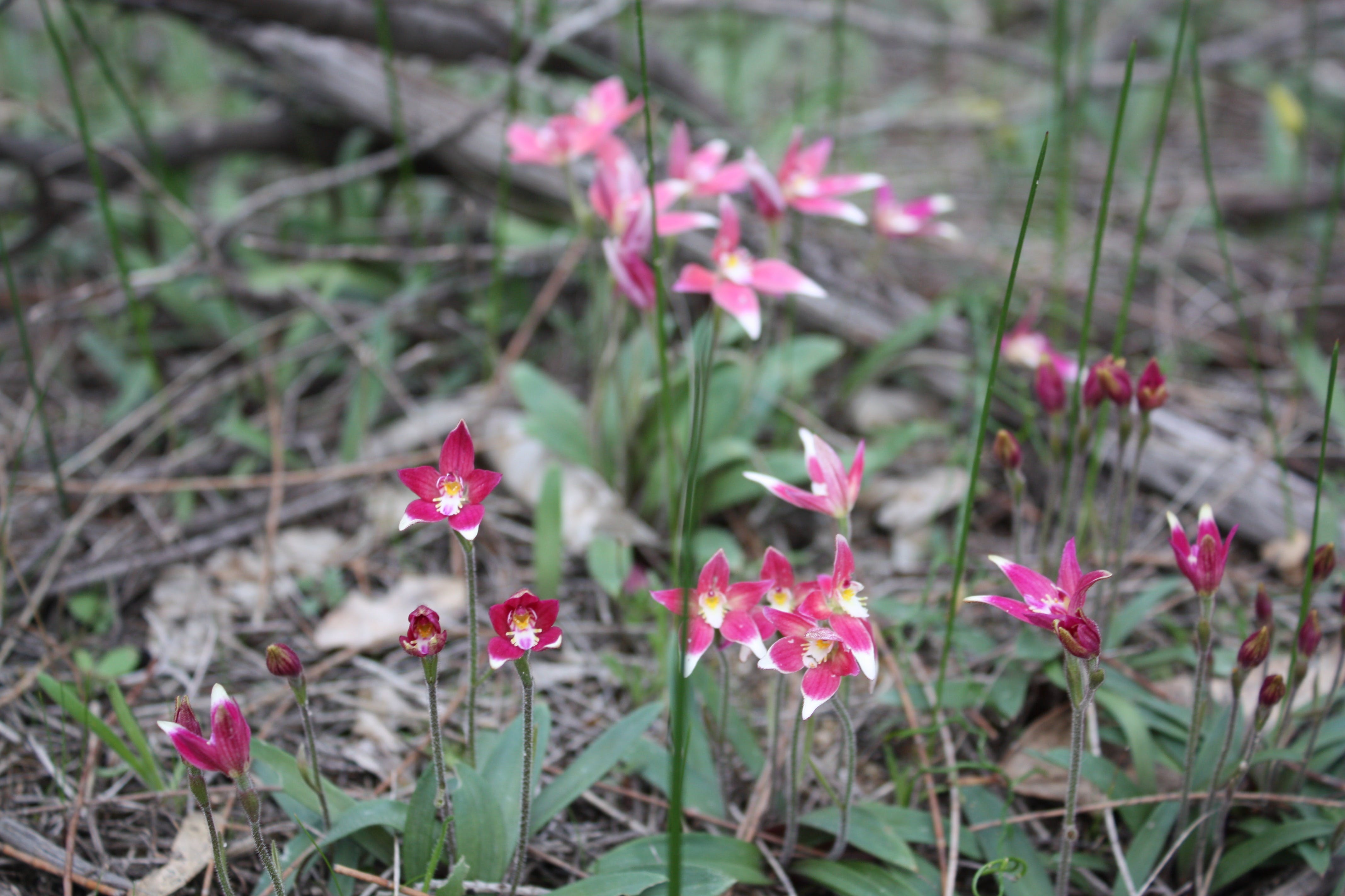 F63A3D938A4280F7B52F20214Af7A610