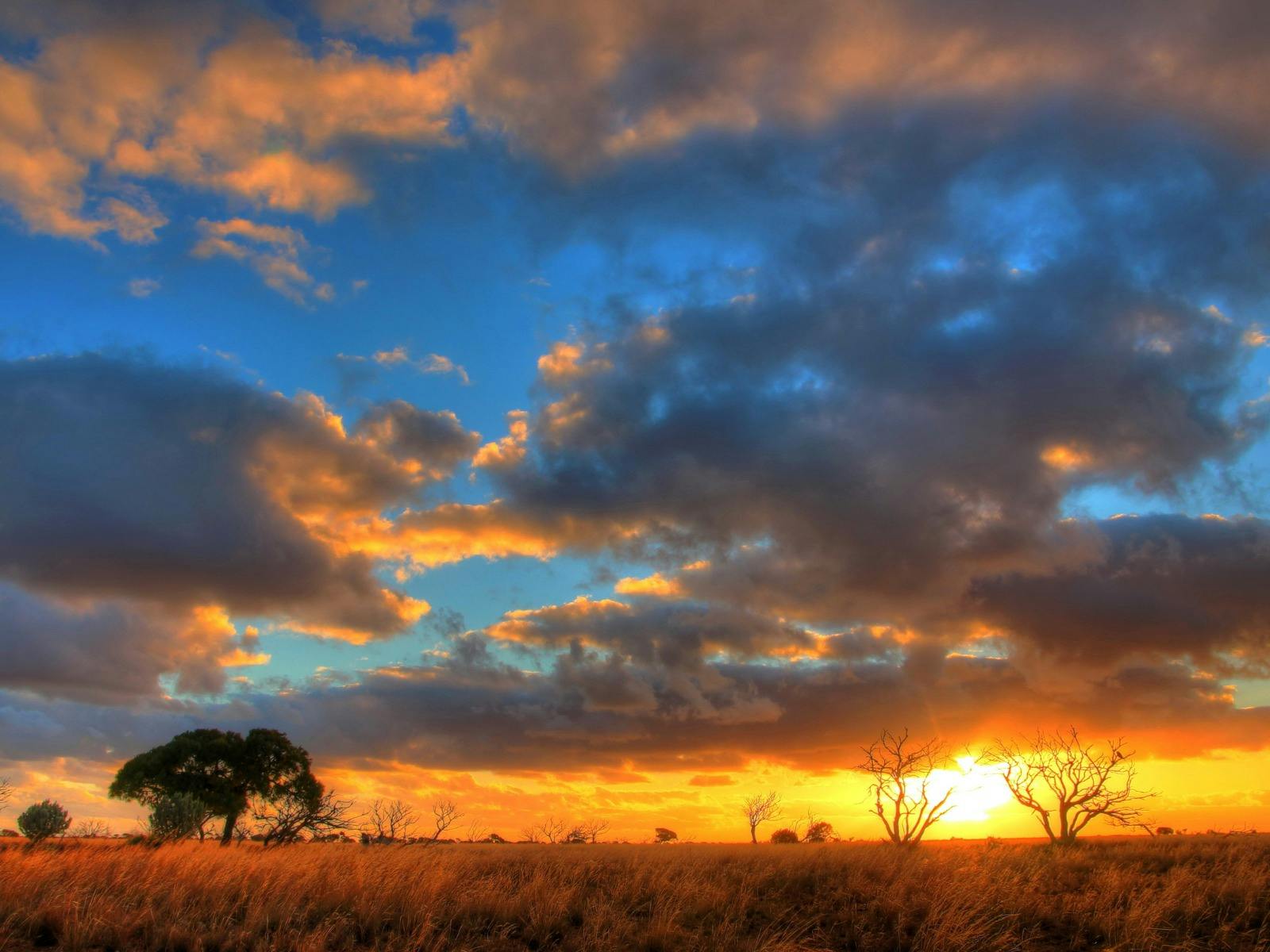 Fe34Bb6C2Cdc6Fede74D88E947A1A9F9