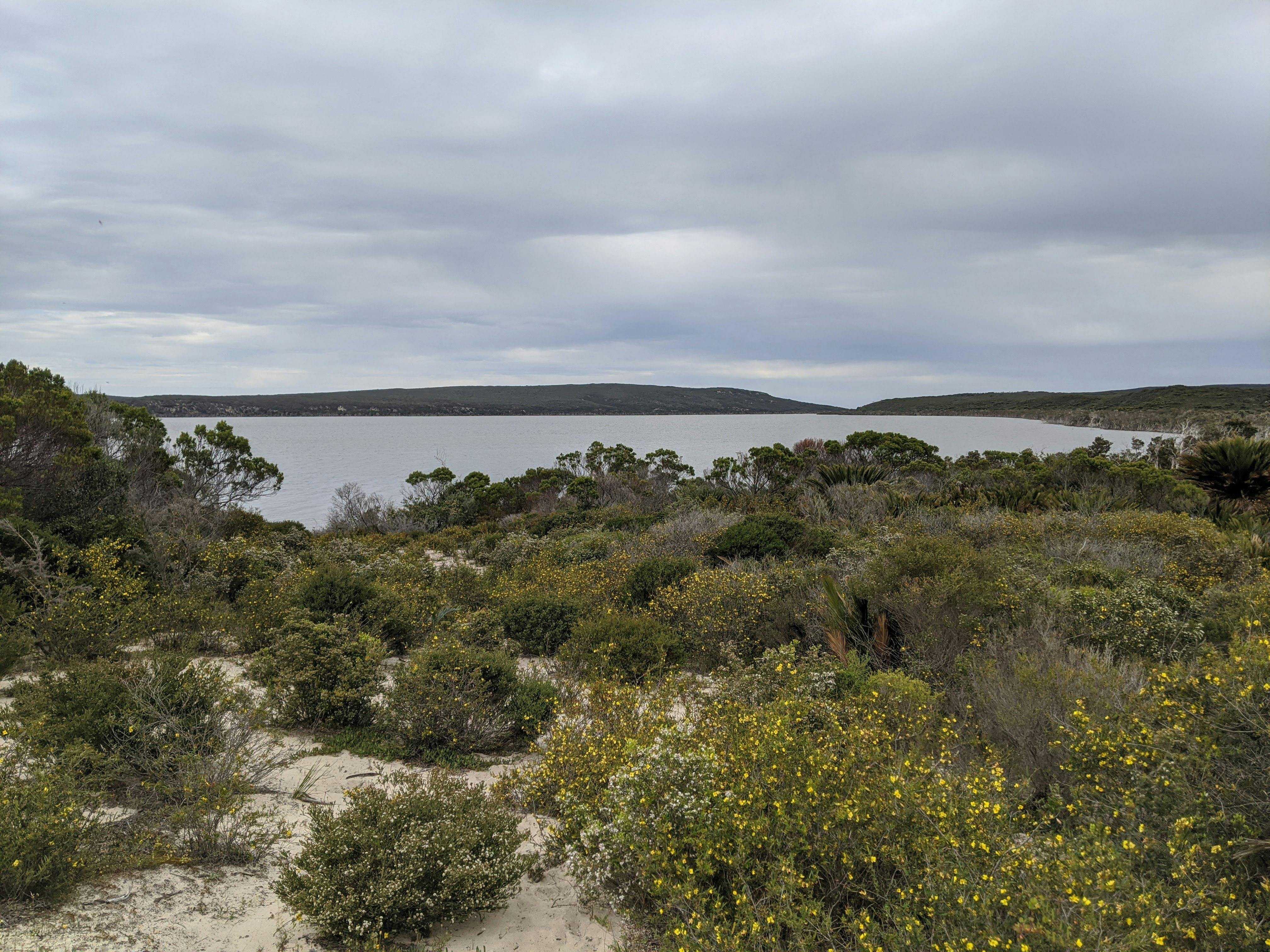 Fff5822E7Edb8Bad64E6Fe9063603Db6